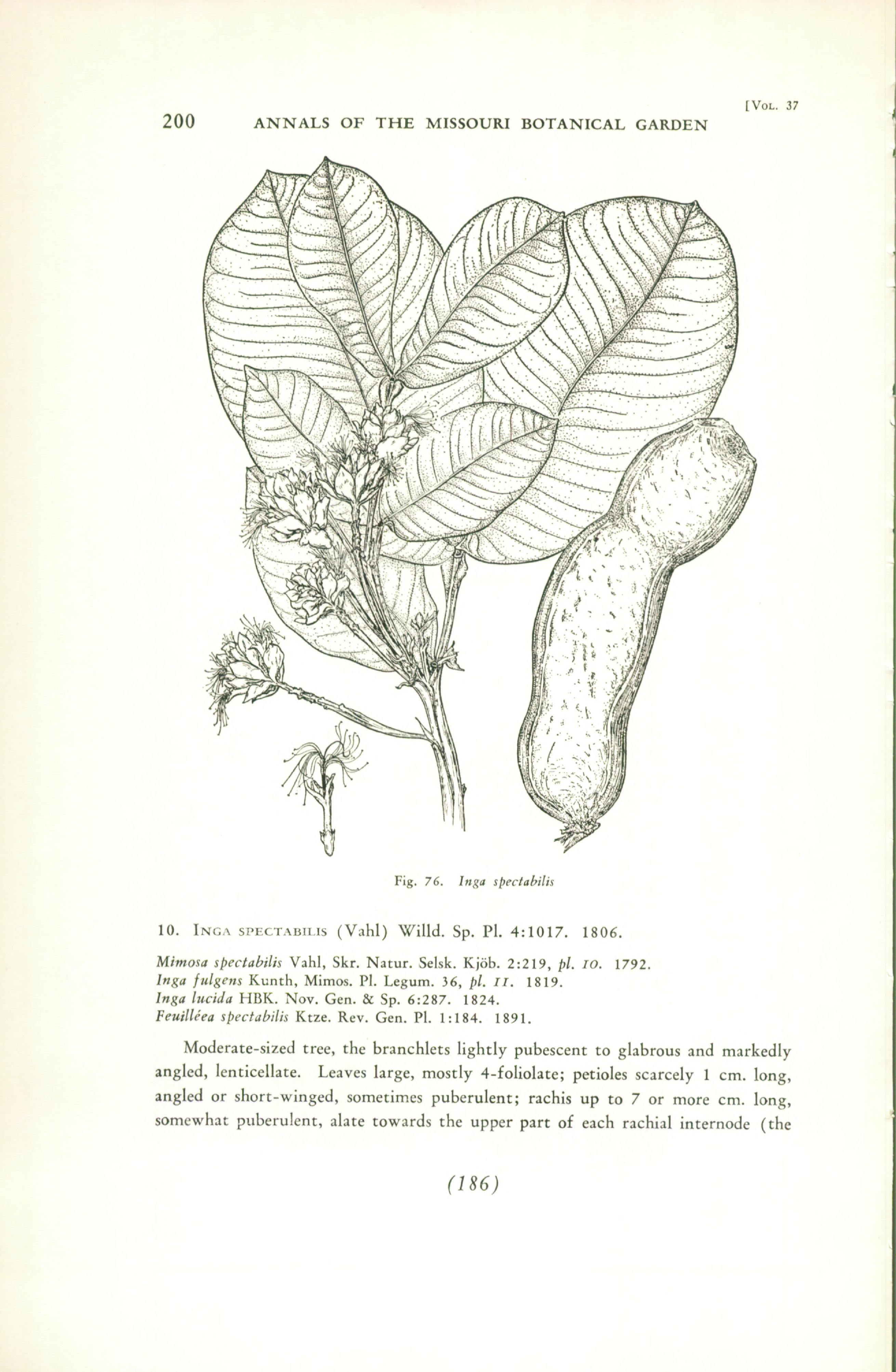 no full size  illustration available (3a)