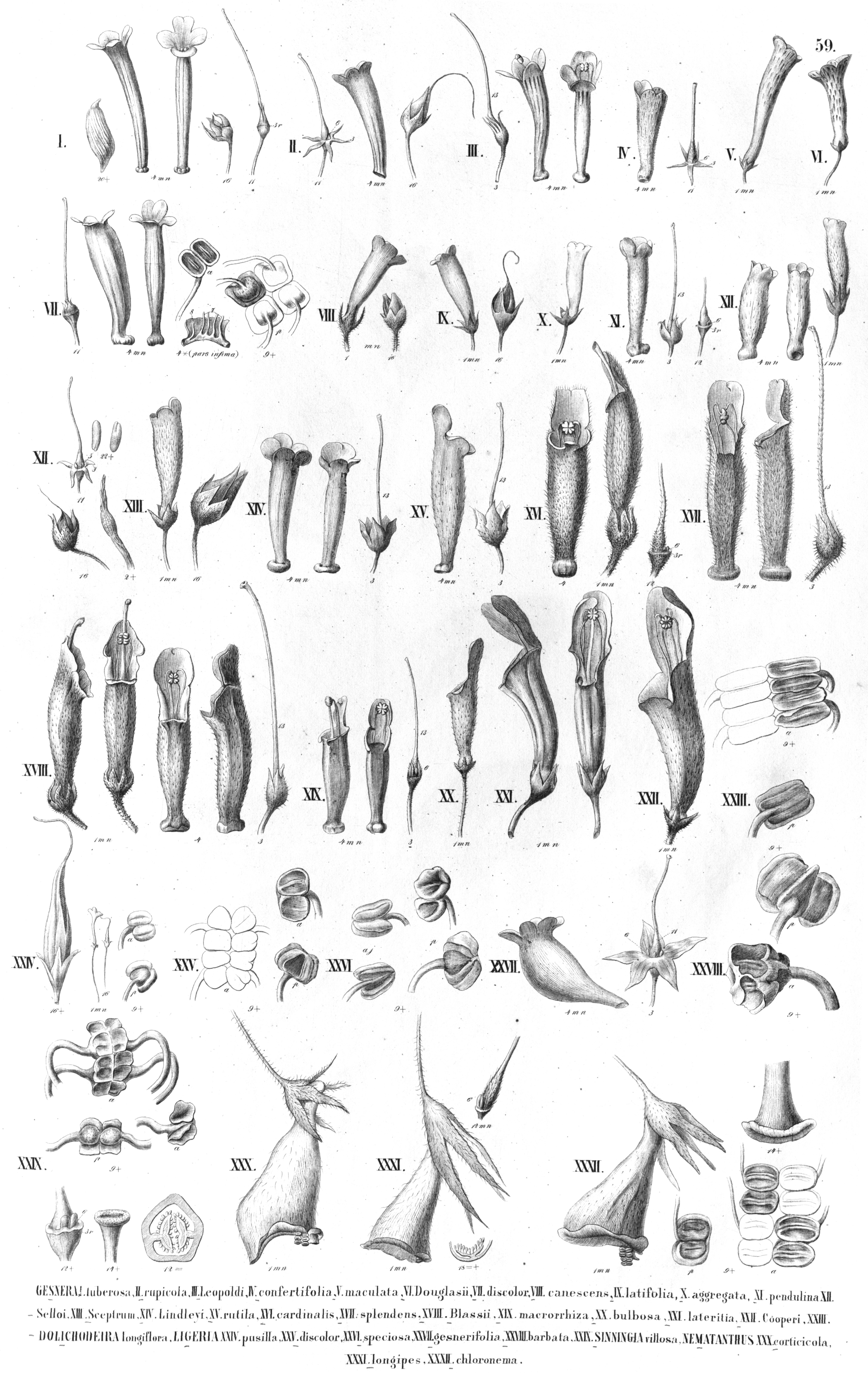 no full size  illustration available (3a)