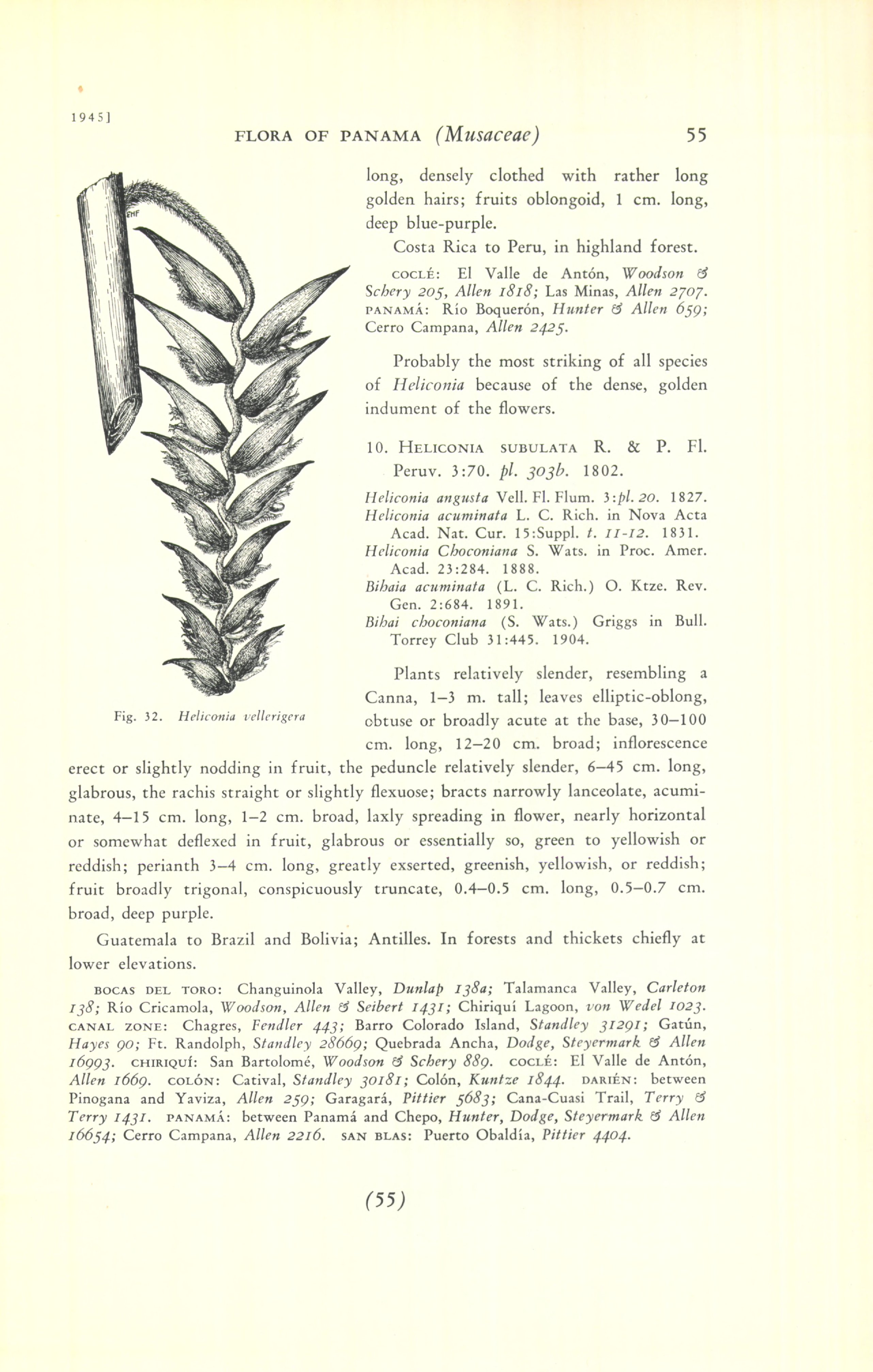 no full size  illustration available (3a)