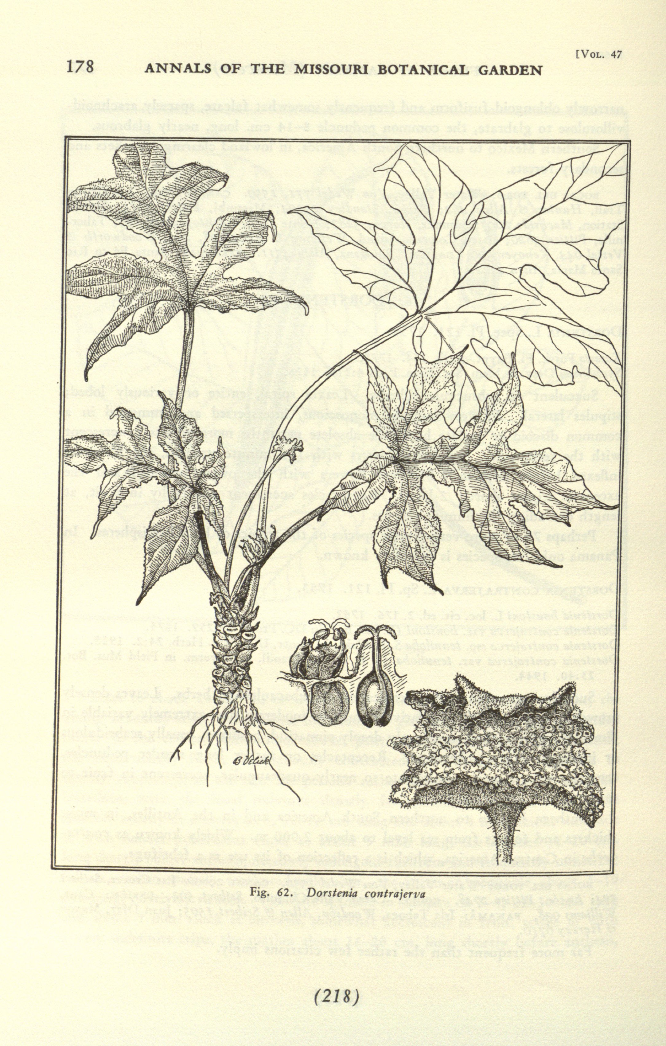 no full size  illustration available (3a)