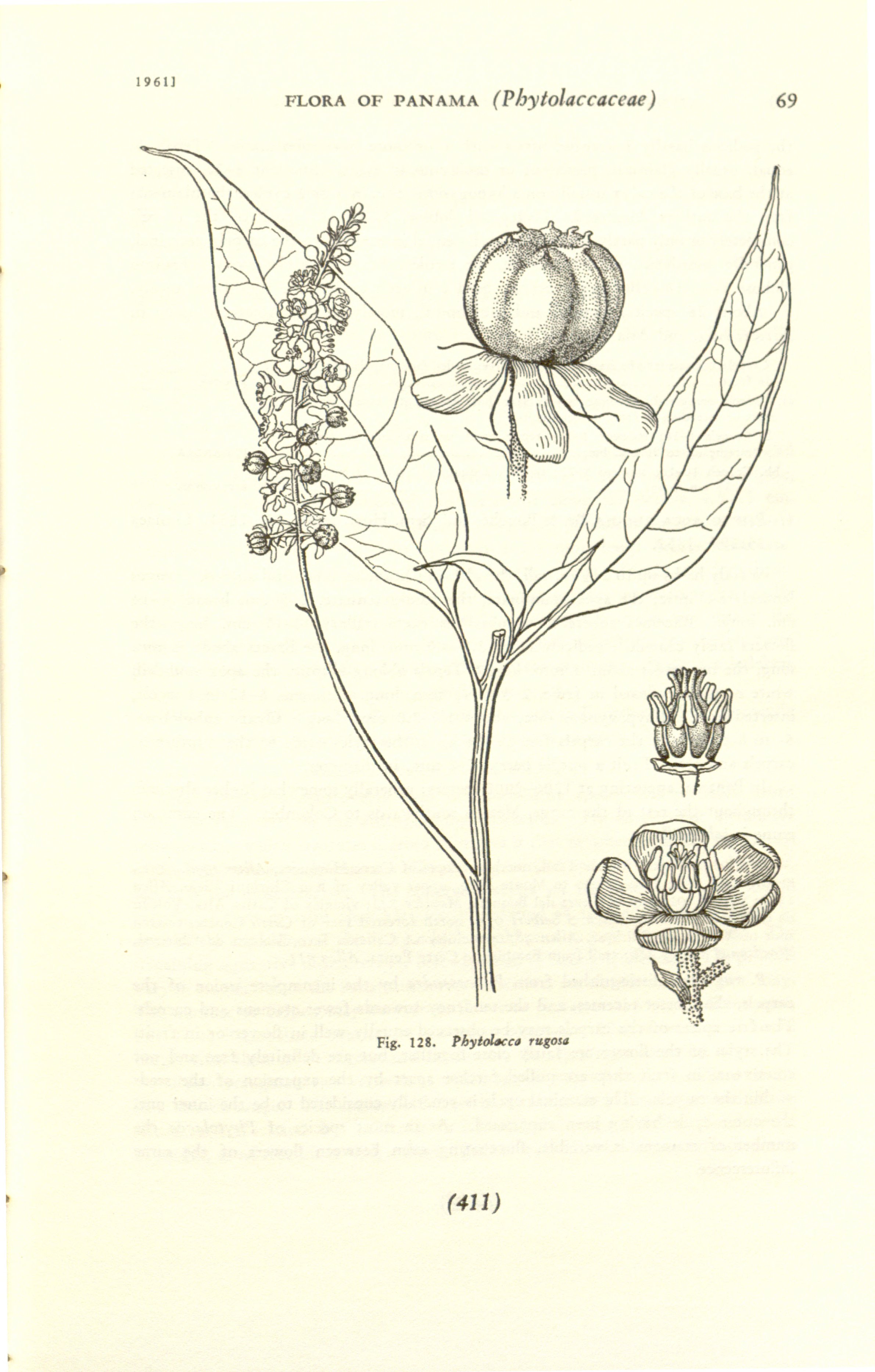 no full size  illustration available (3a)