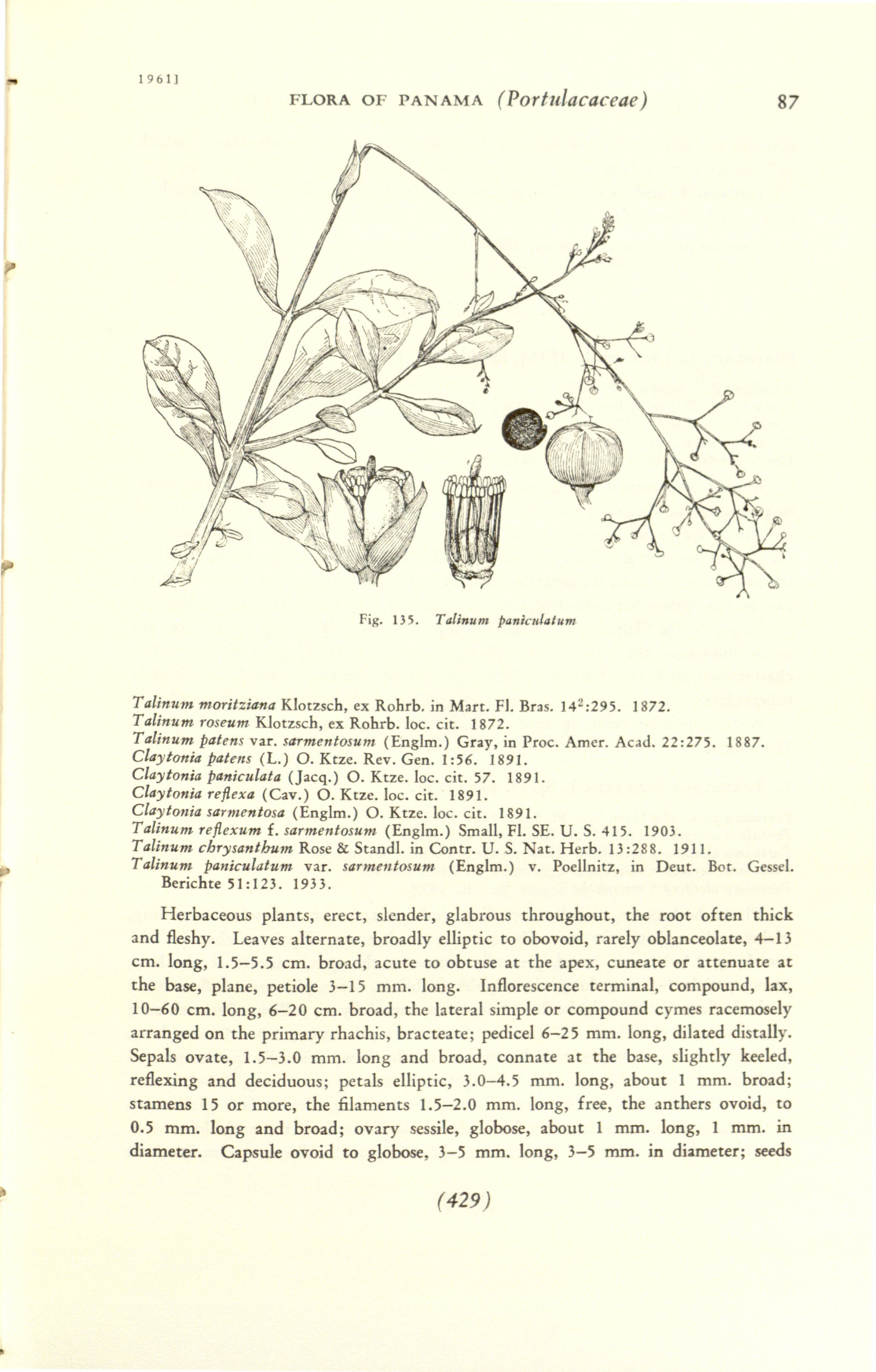 no full size  illustration available (3a)