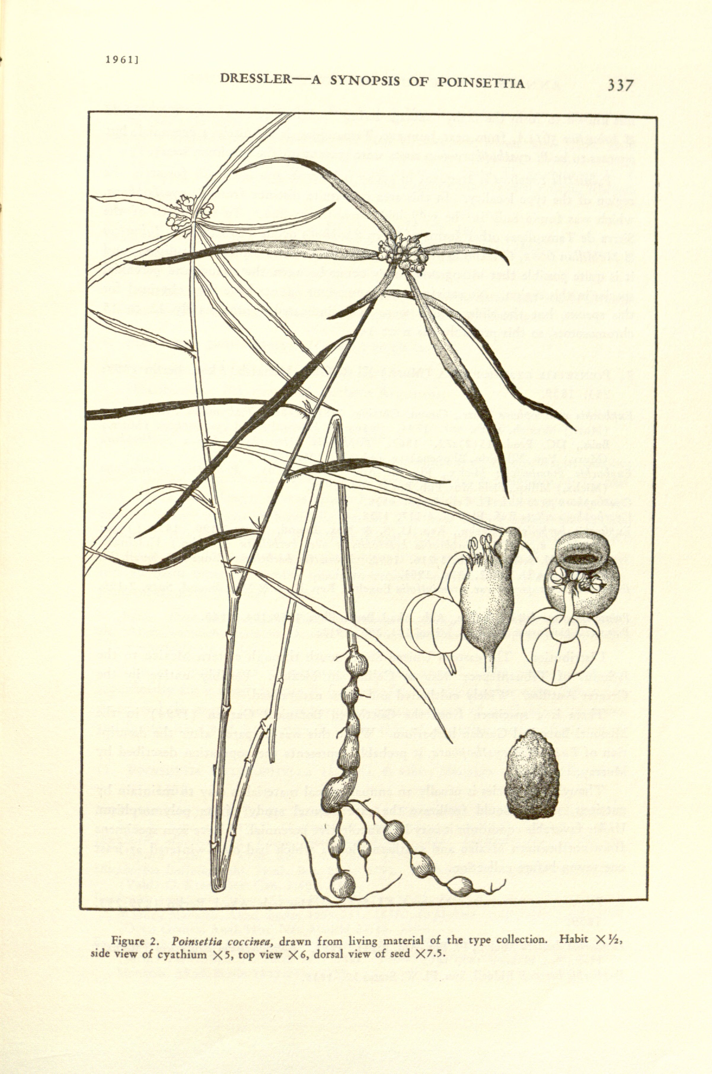 no full size  illustration available (3a)