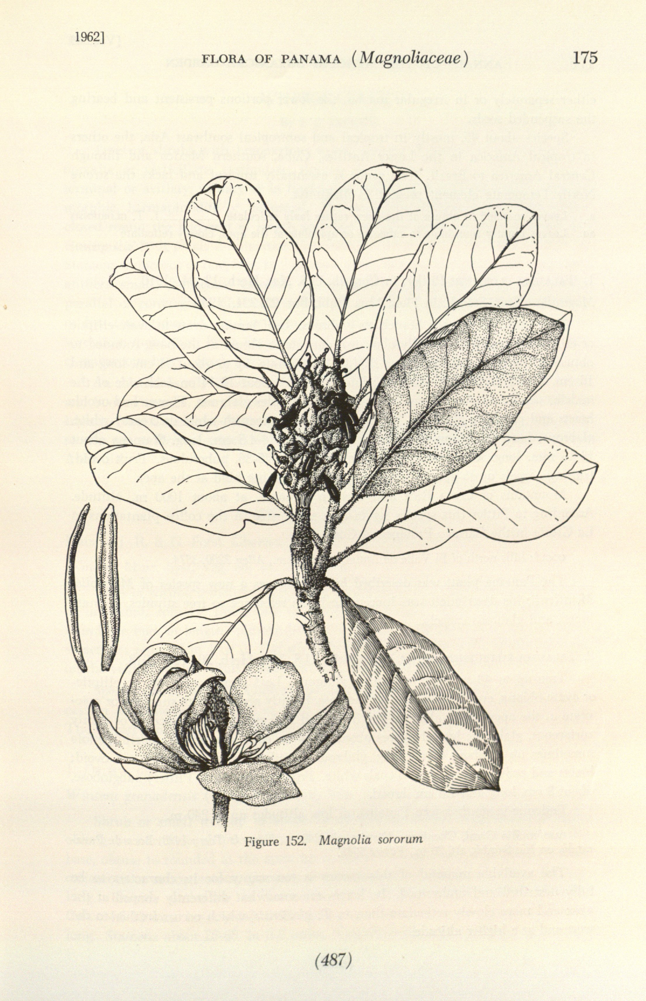 no full size  illustration available (3a)