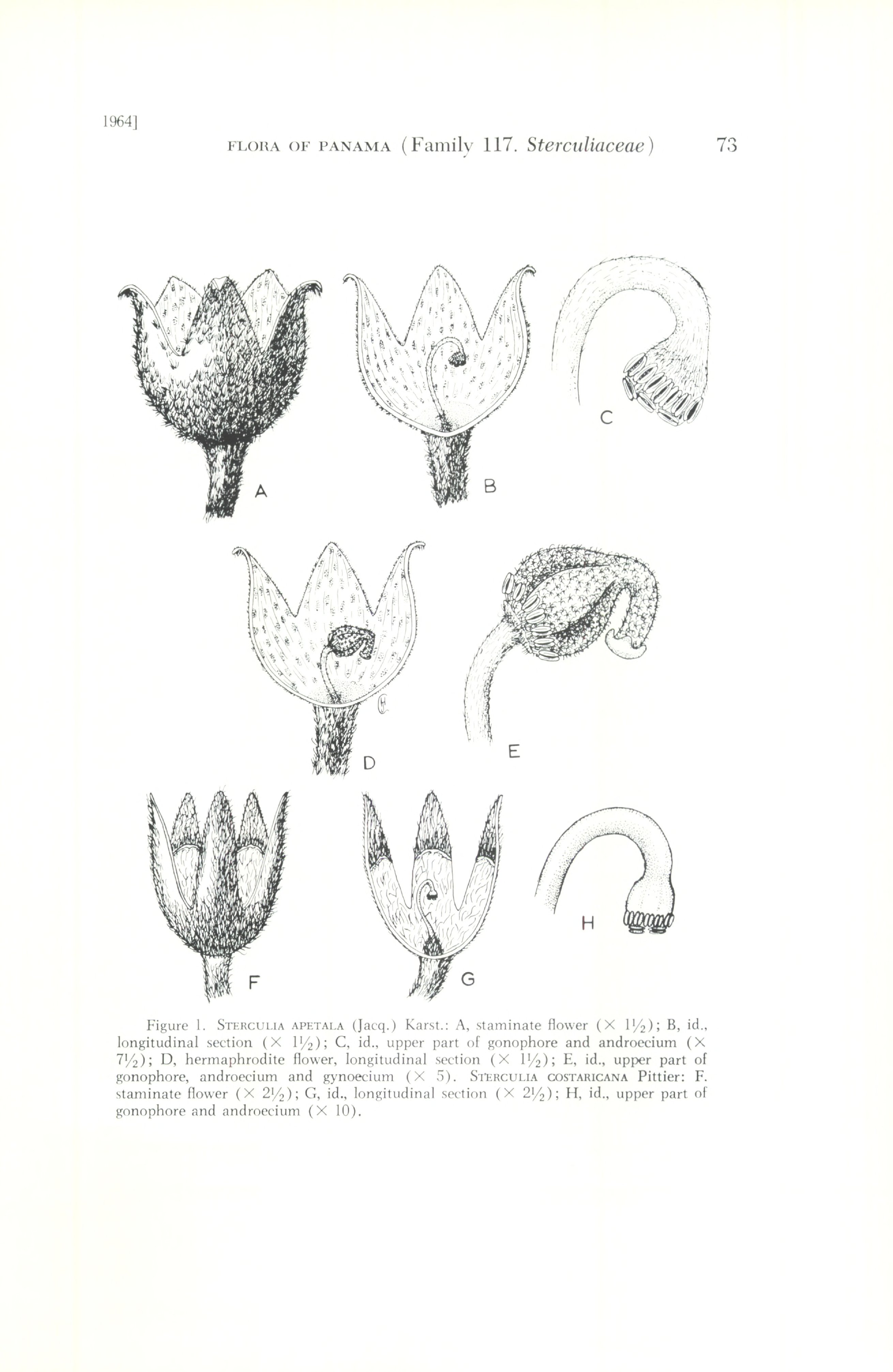 no full size  illustration available (3a)