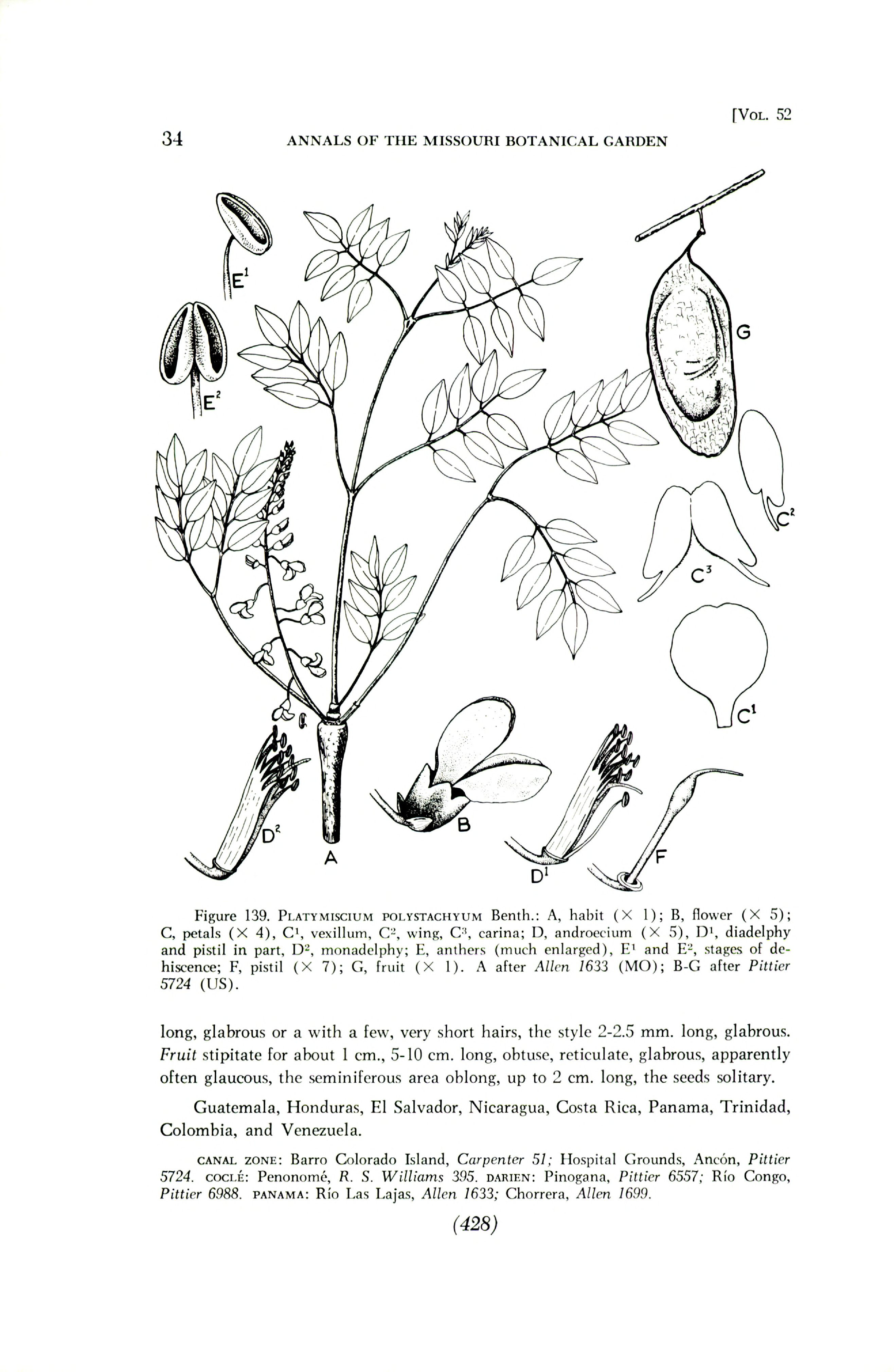 no full size  illustration available (3a)