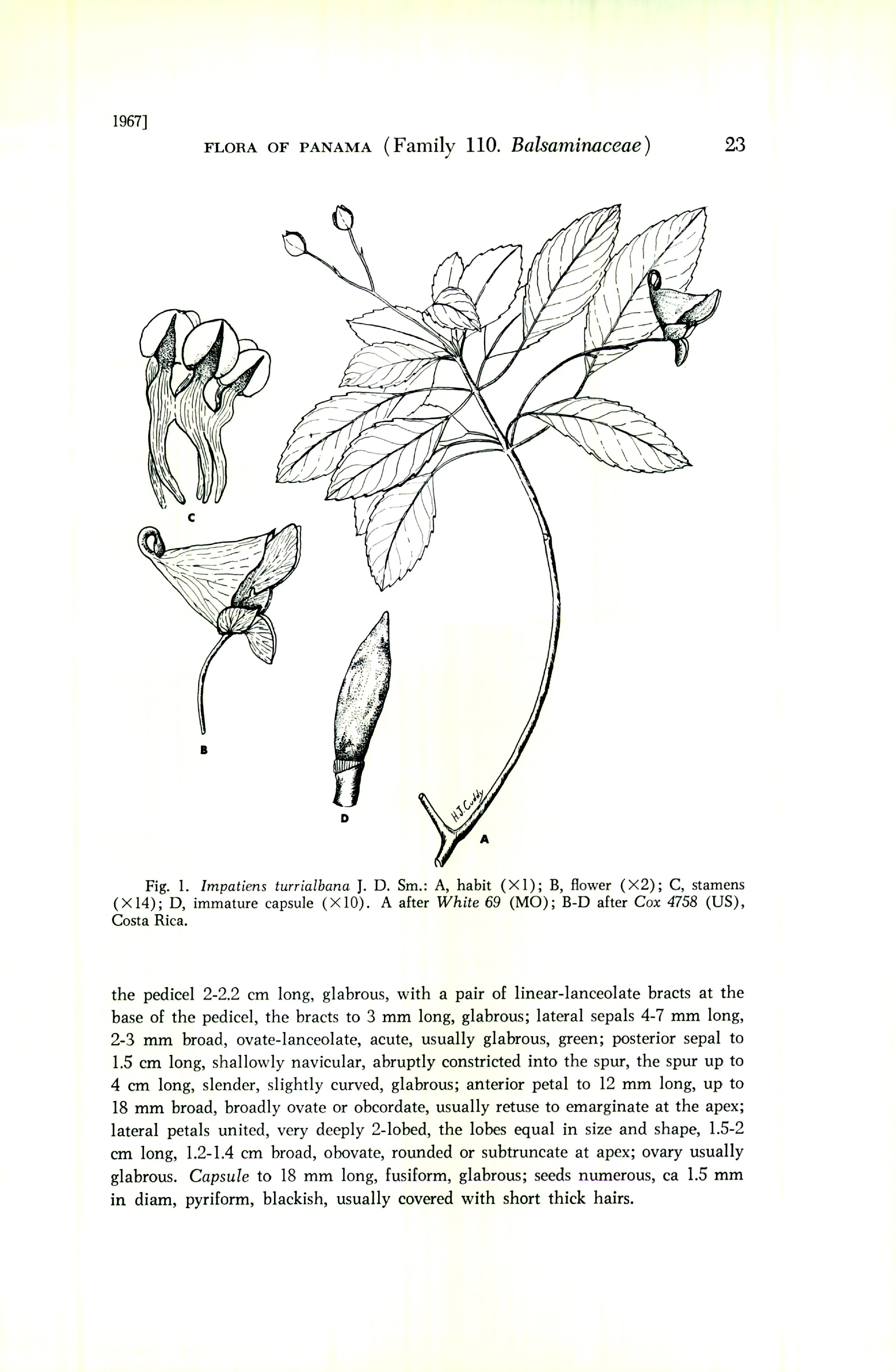 no full size  illustration available (3a)