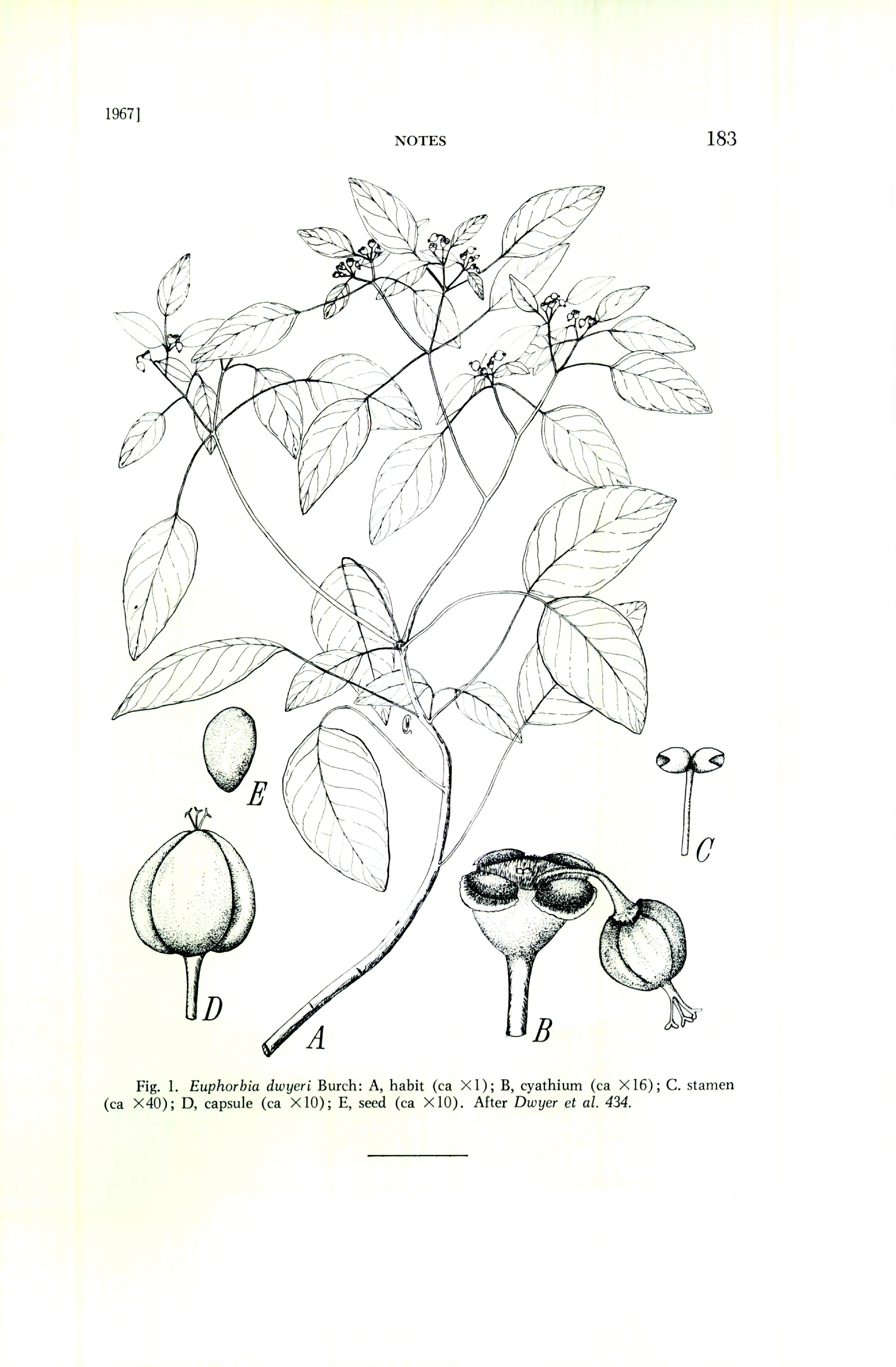 no full size  illustration available (3a)