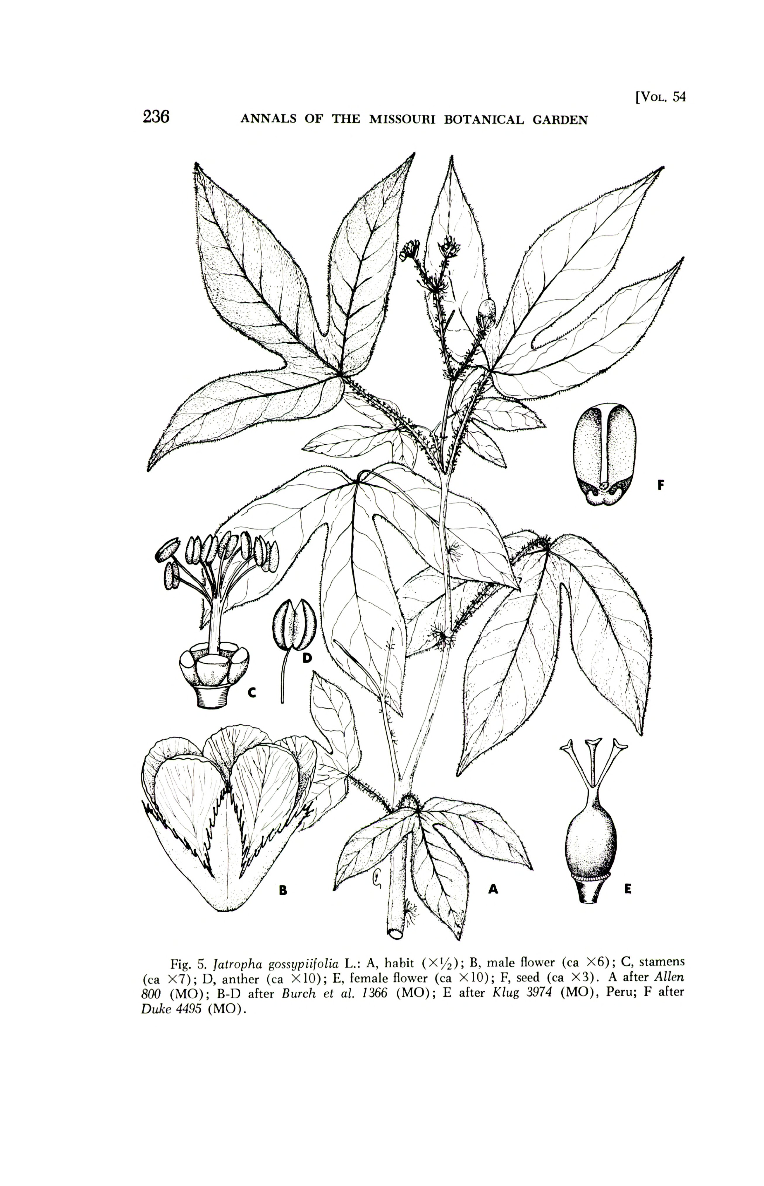 no full size  illustration available (3a)