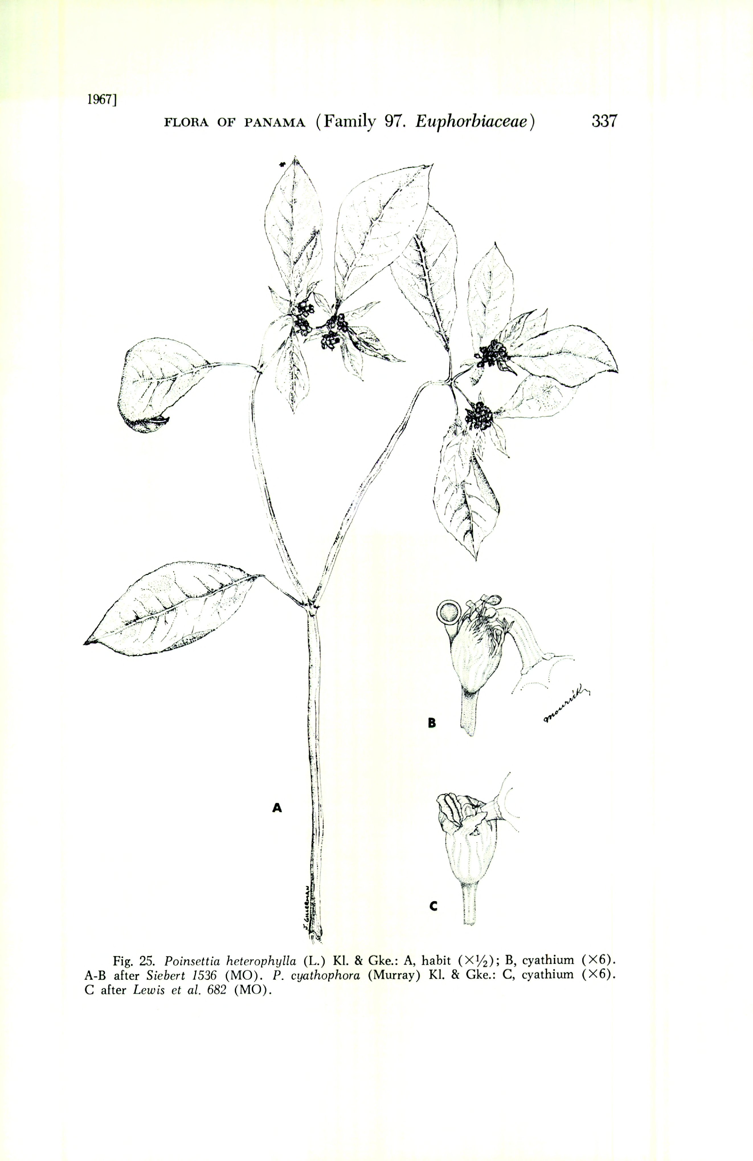 no full size  illustration available (3a)