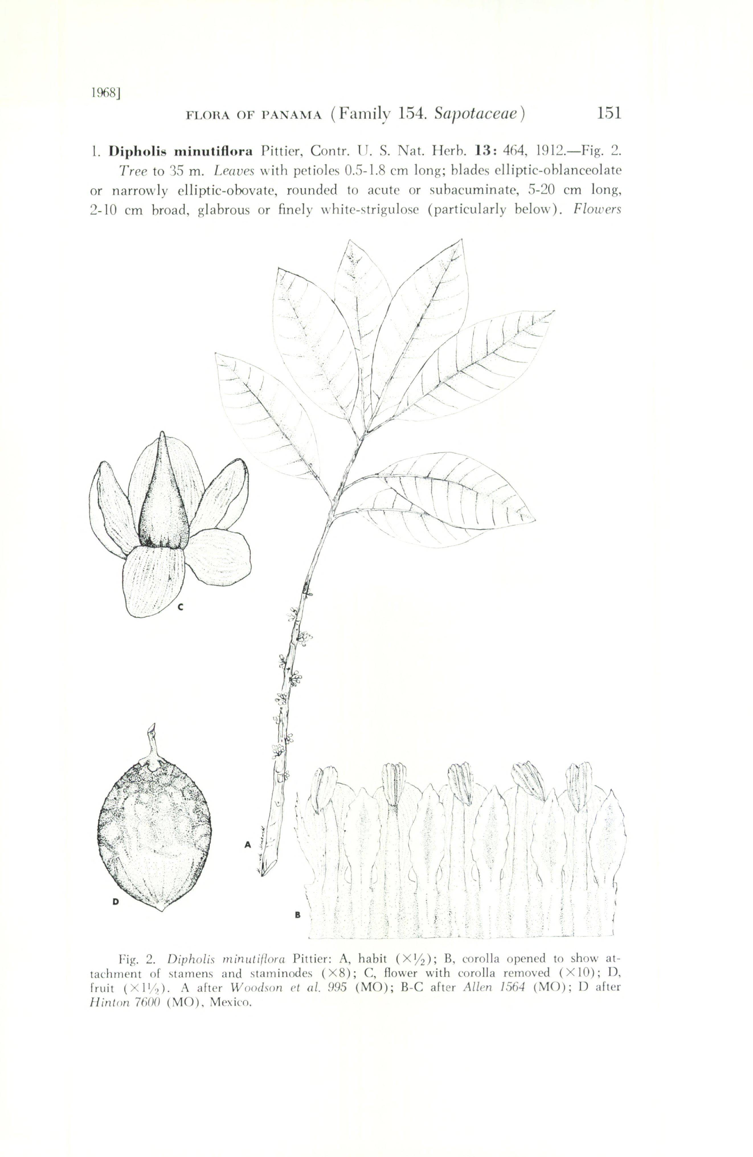 no full size  illustration available (3a)