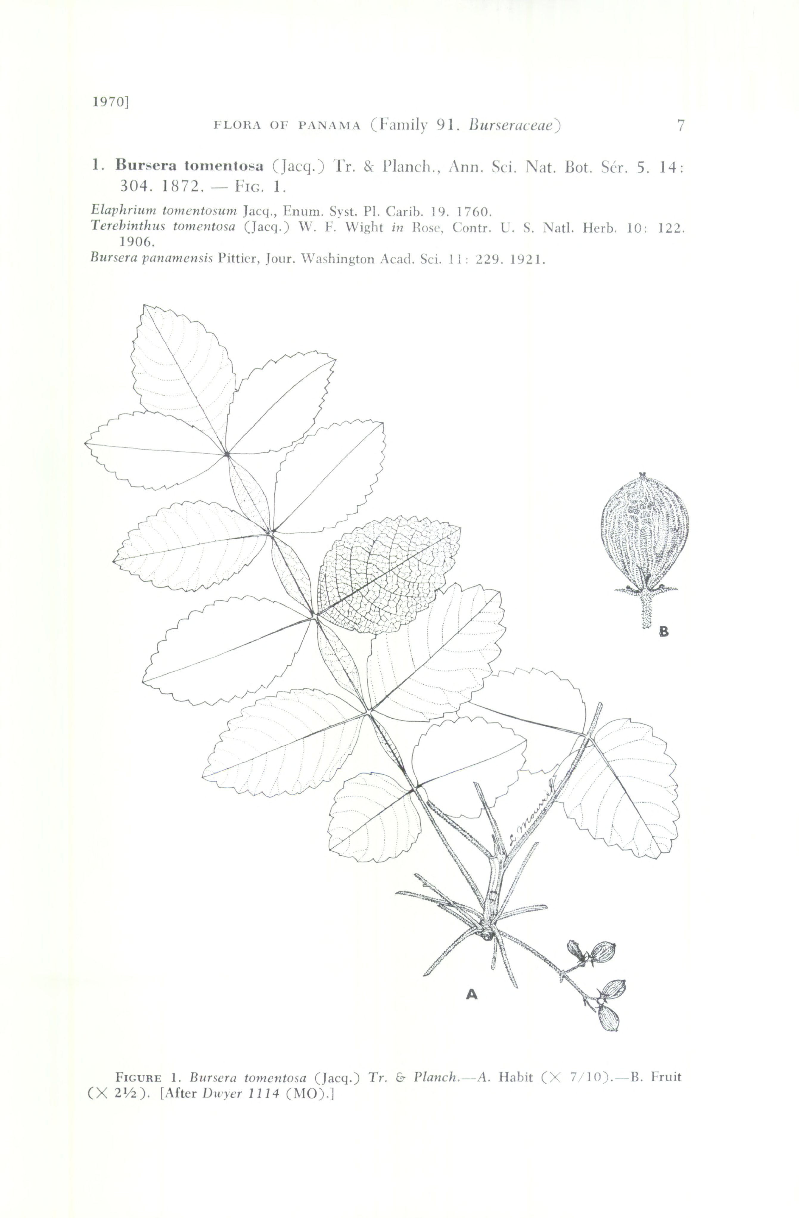 no full size  illustration available (3a)