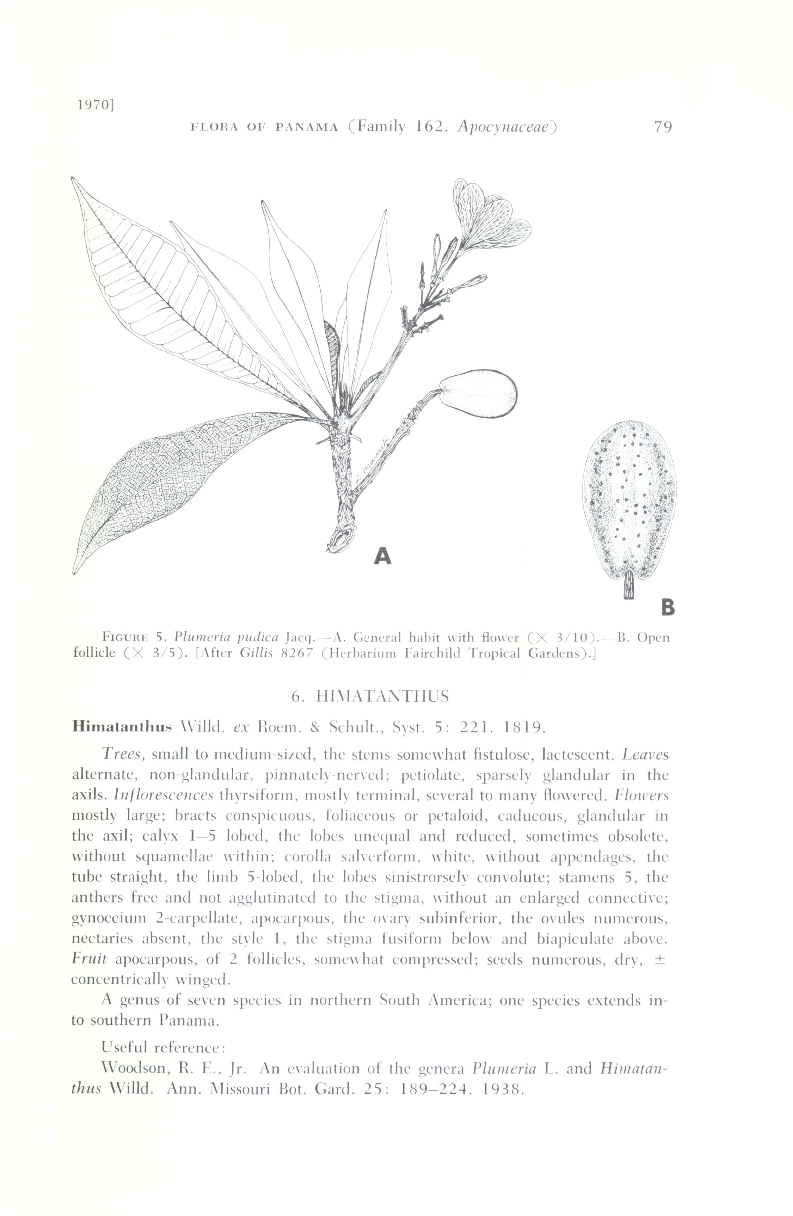 no full size  illustration available (3a)