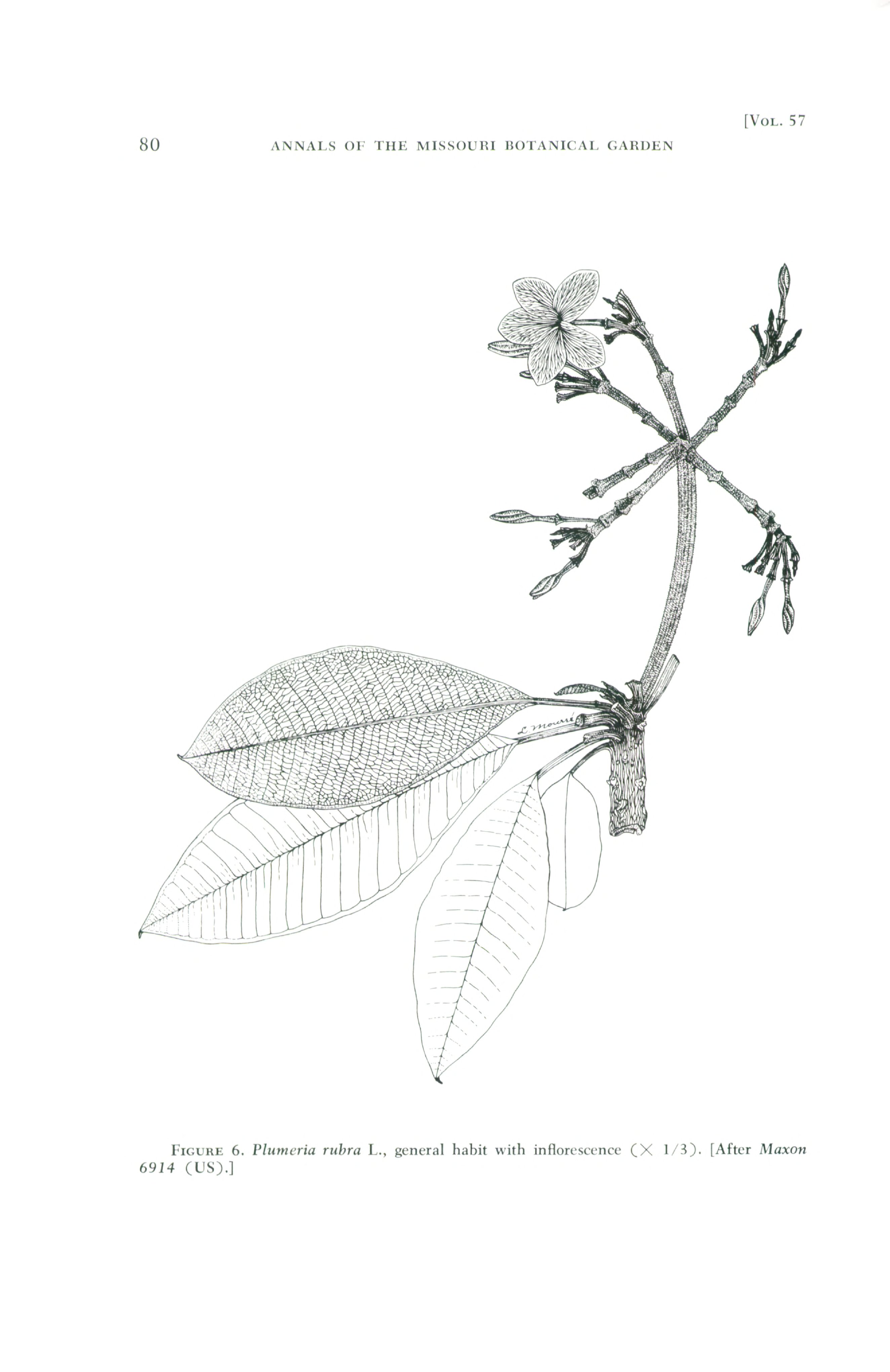 no full size  illustration available (3a)