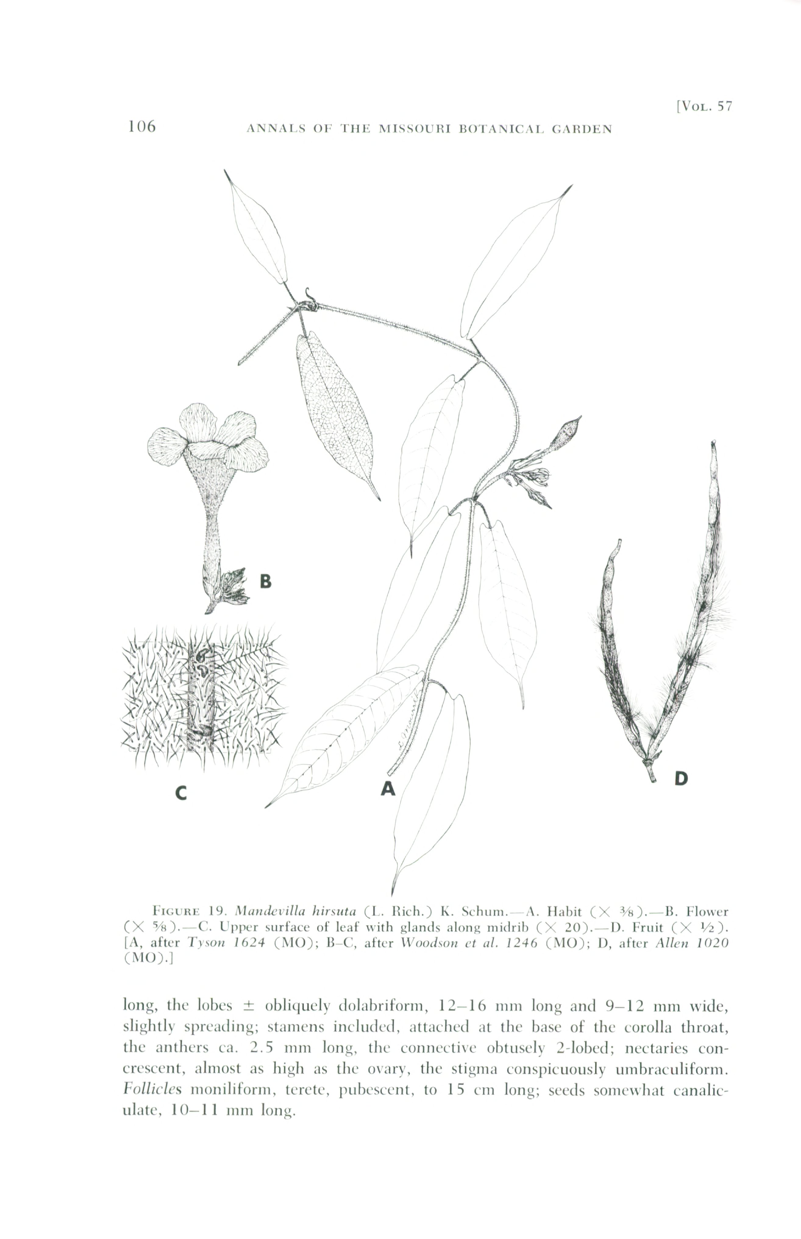 no full size  illustration available (3a)