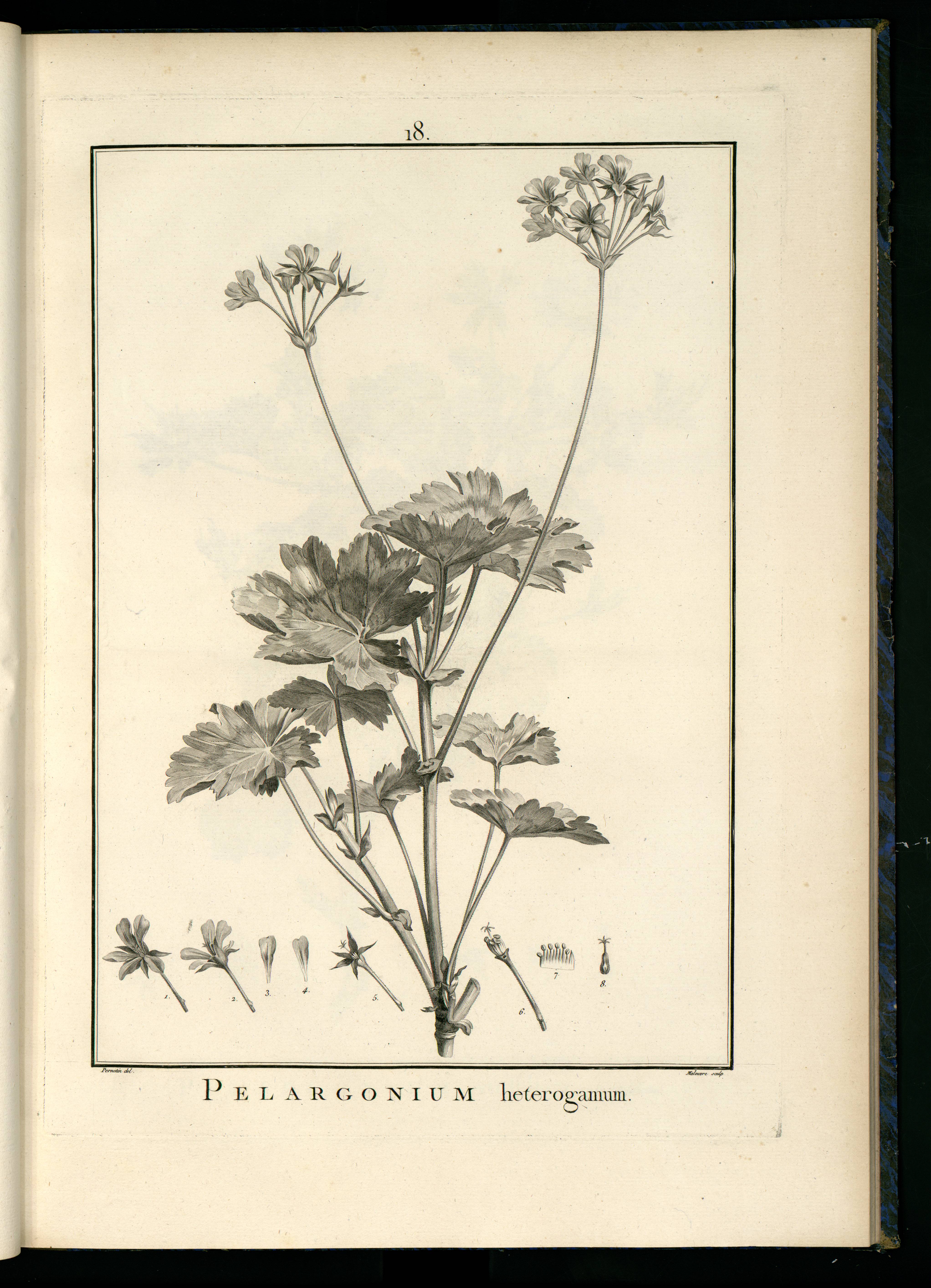 no full size  illustration available (3a)