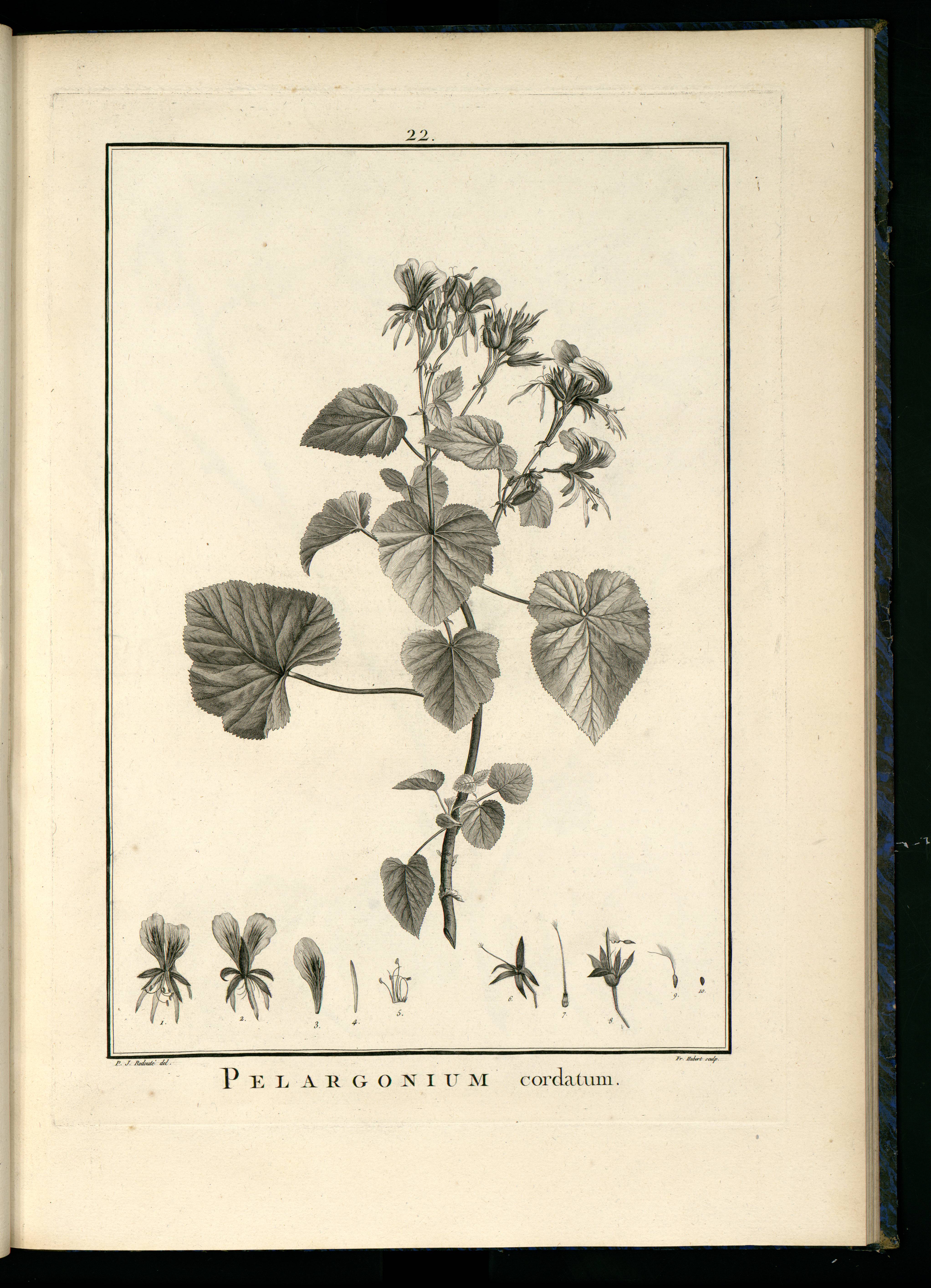 no full size  illustration available (3a)