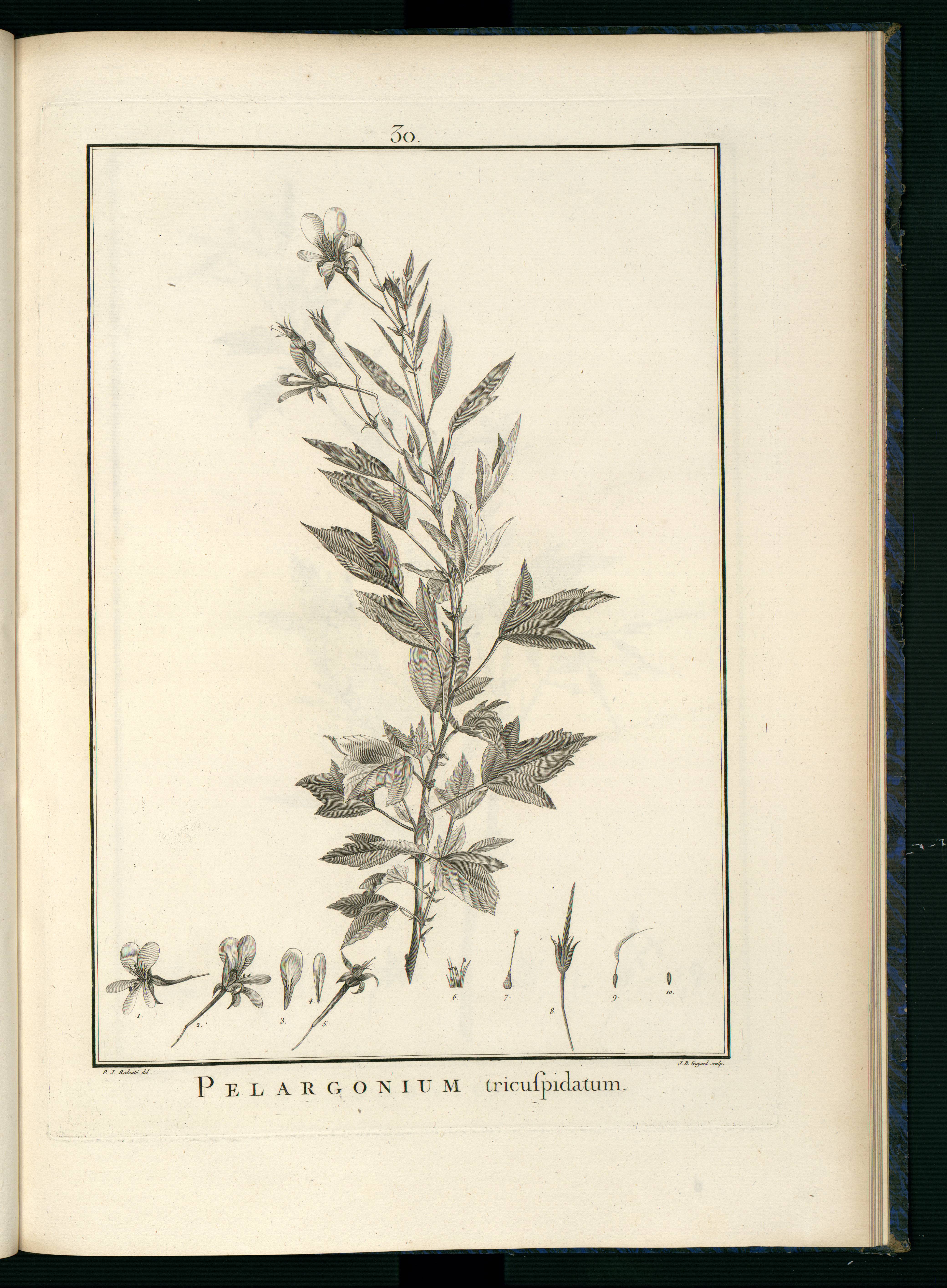 no full size  illustration available (3a)