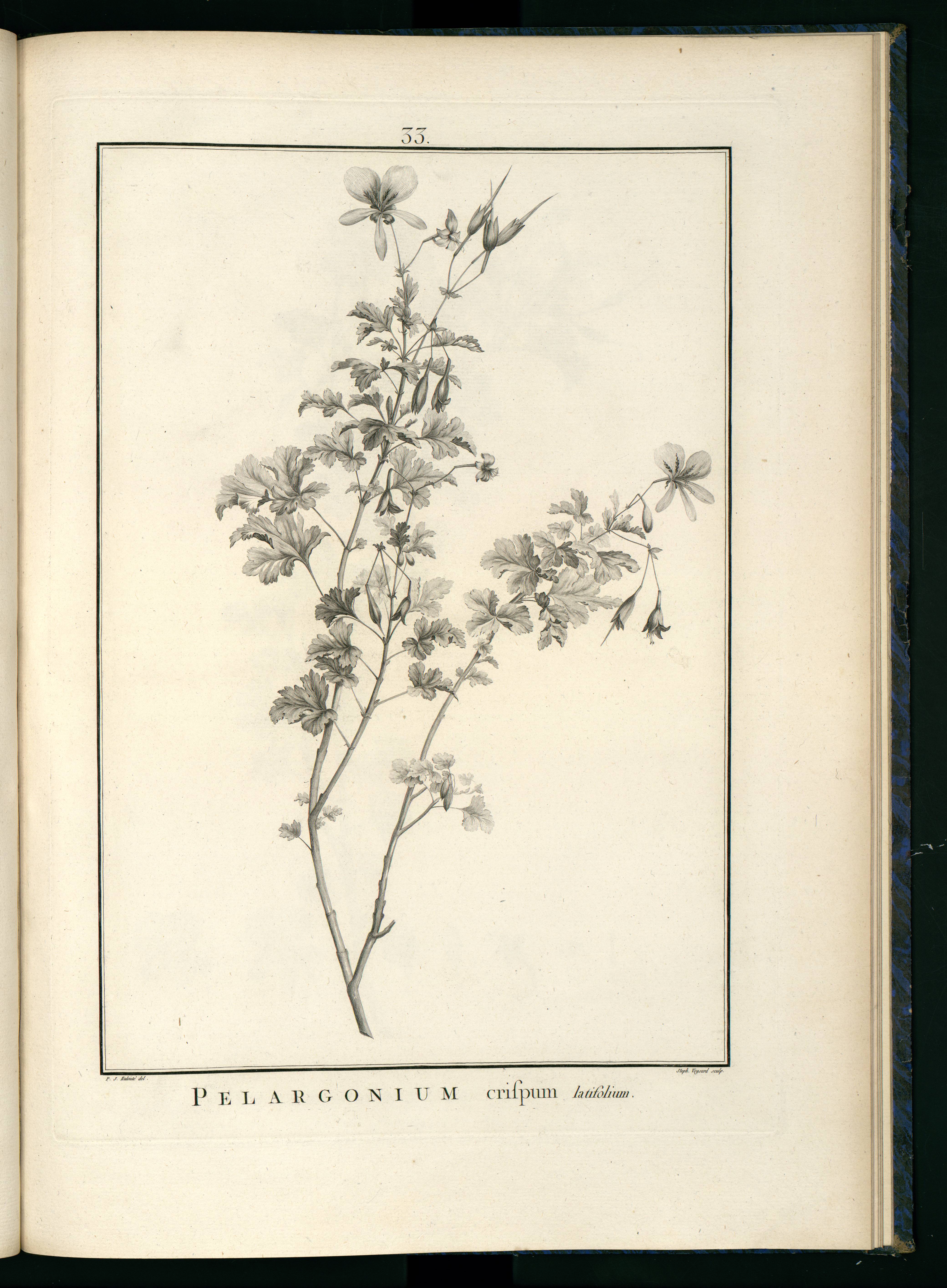 no full size  illustration available (3a)