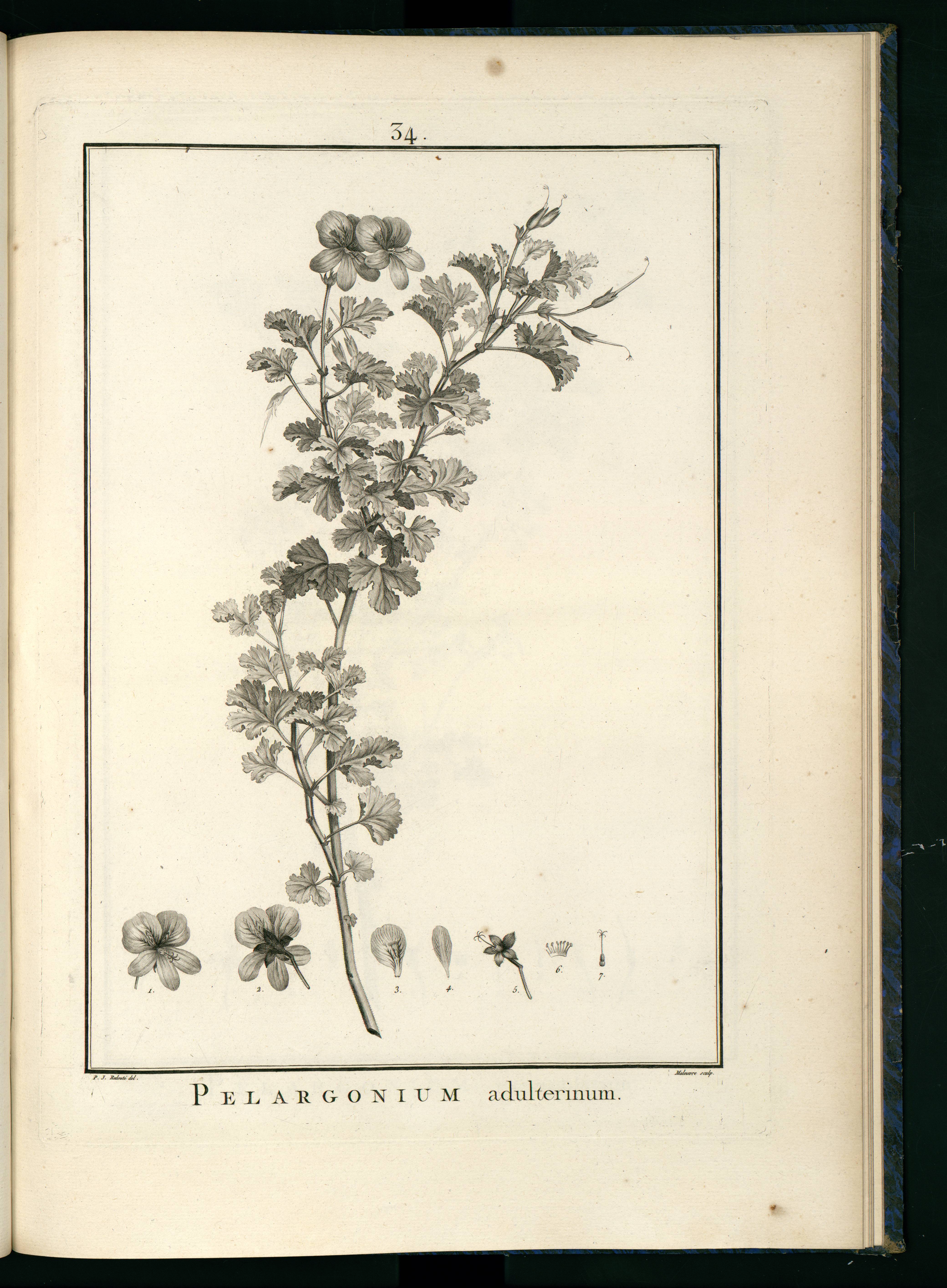 no full size  illustration available (3a)