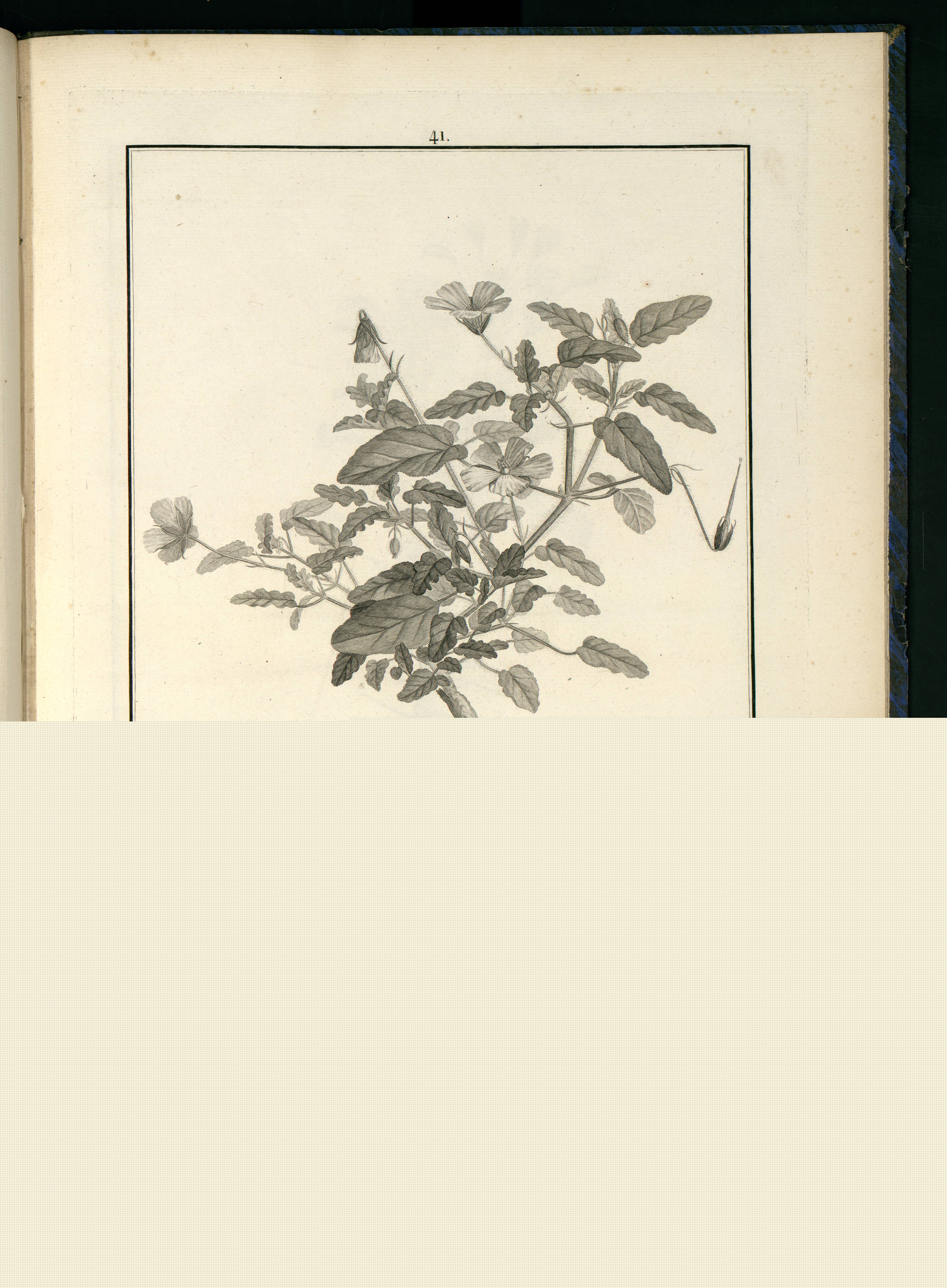 no full size  illustration available (3a)