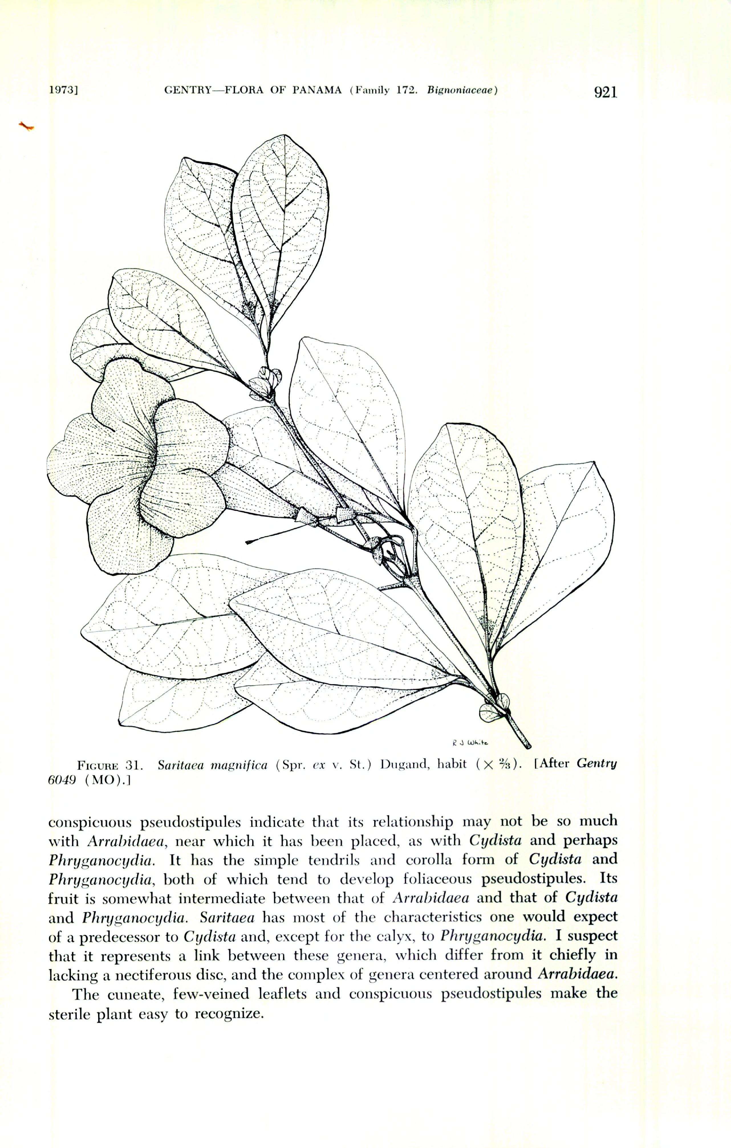 no full size  illustration available (3a)