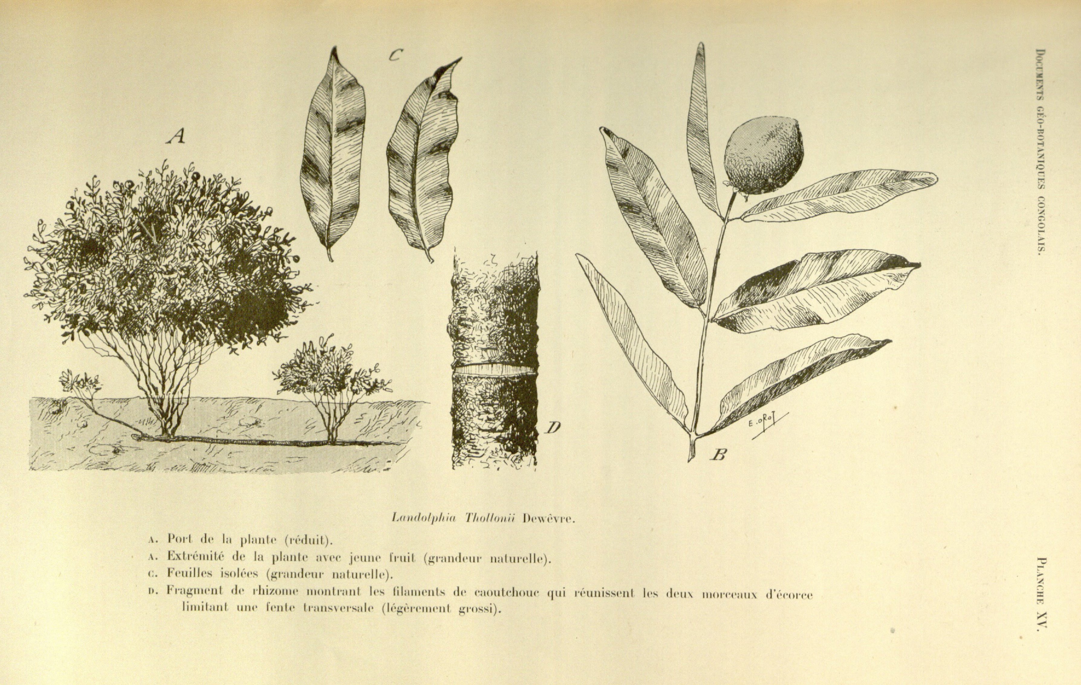 no full size  illustration available (3a)