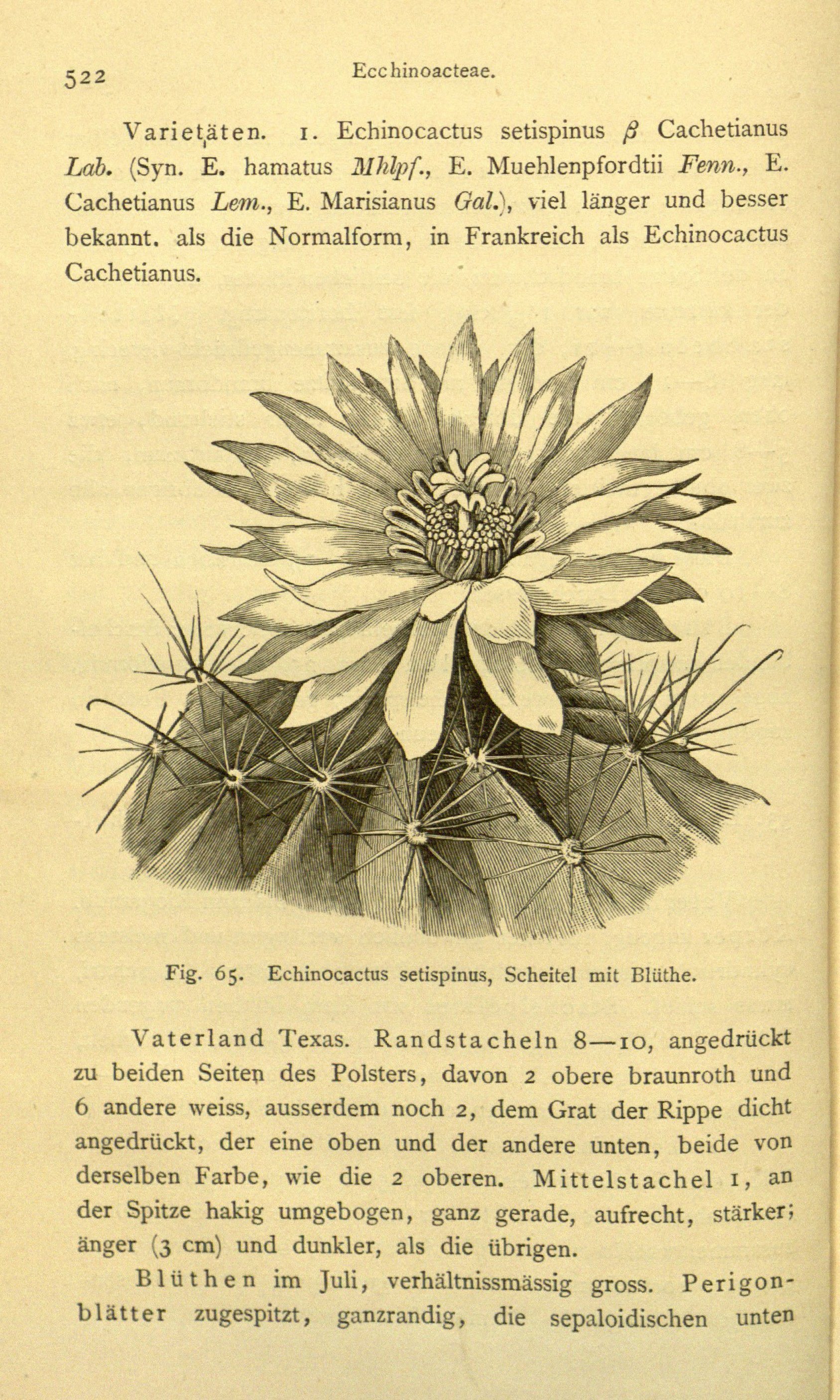 no full size  illustration available (3a)