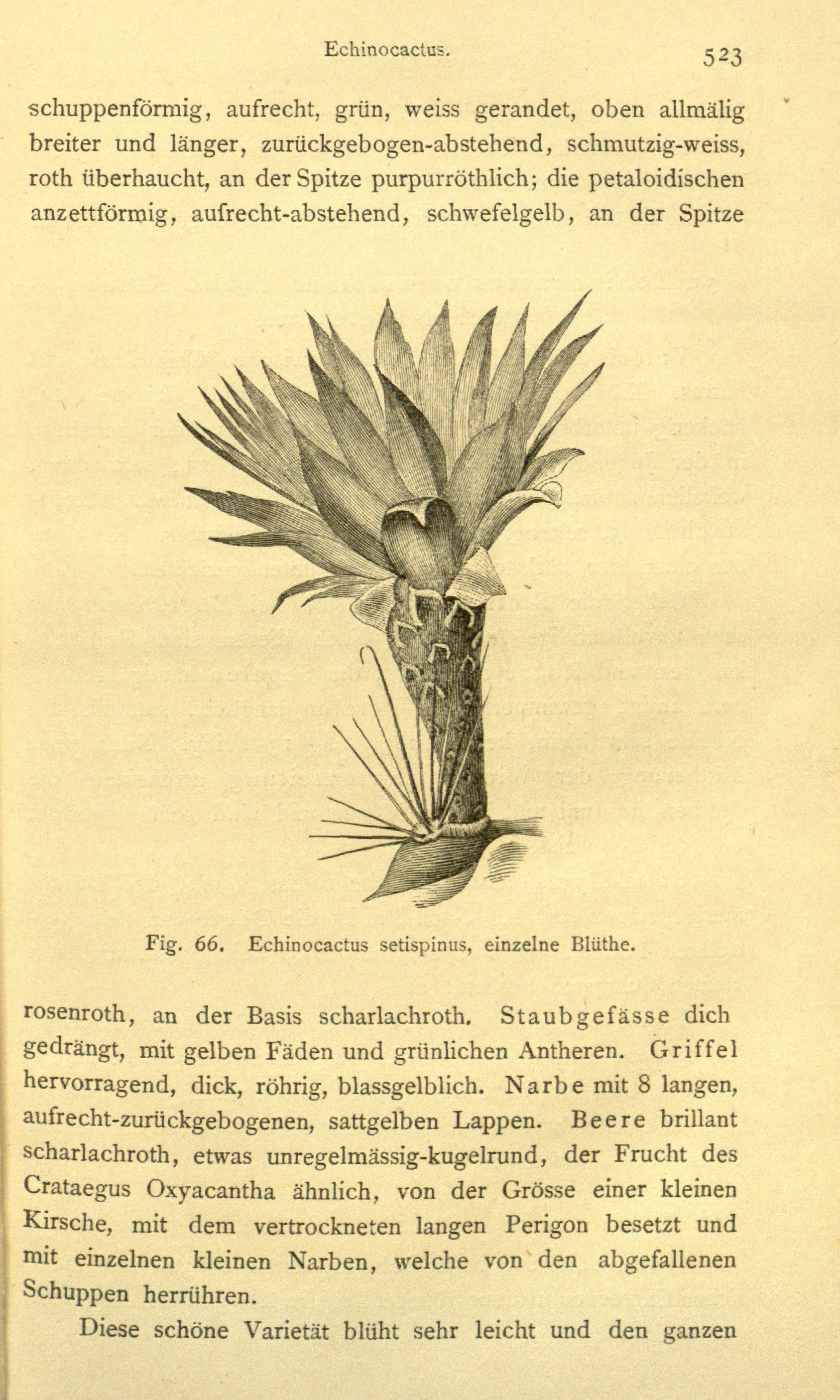 no full size  illustration available (3a)