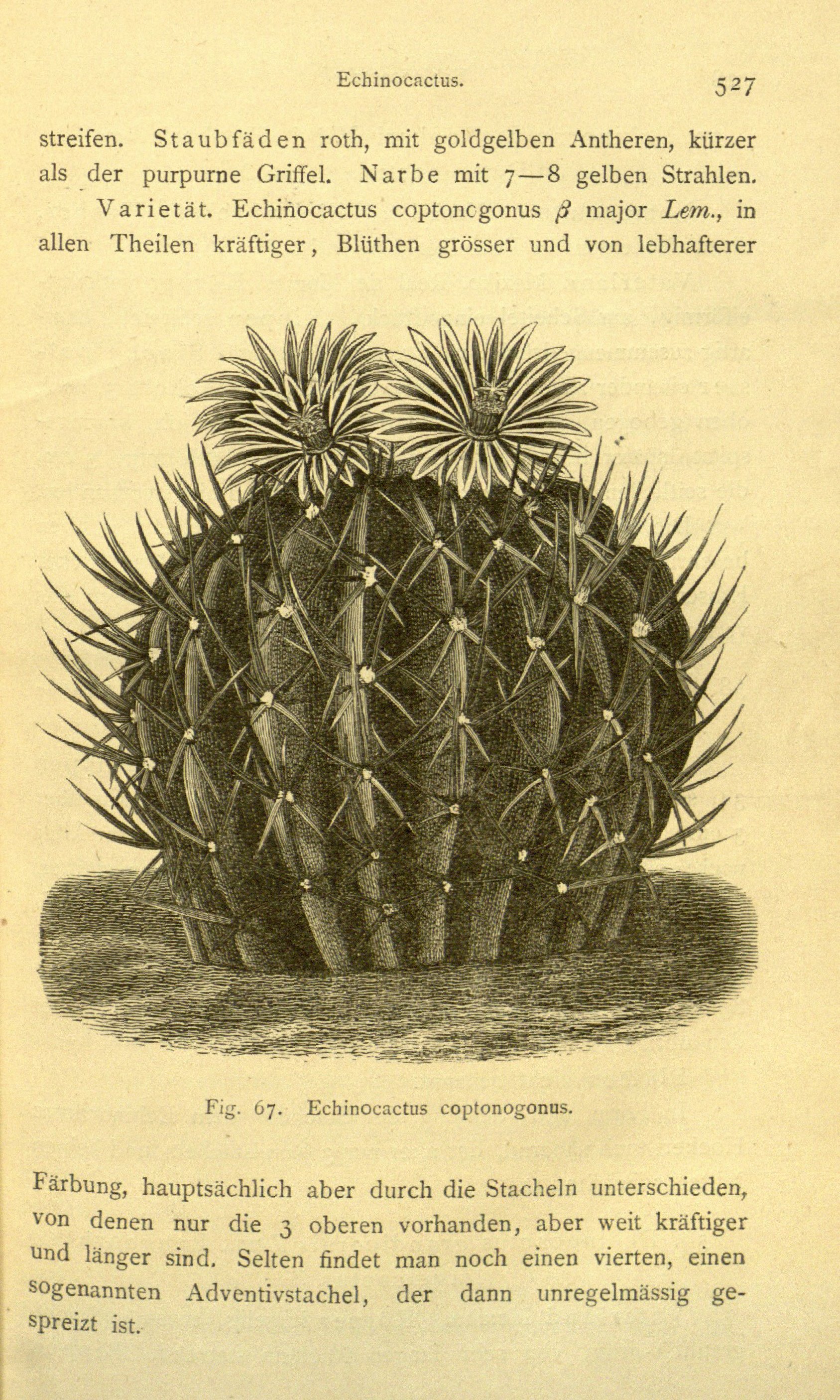 no full size  illustration available (3a)