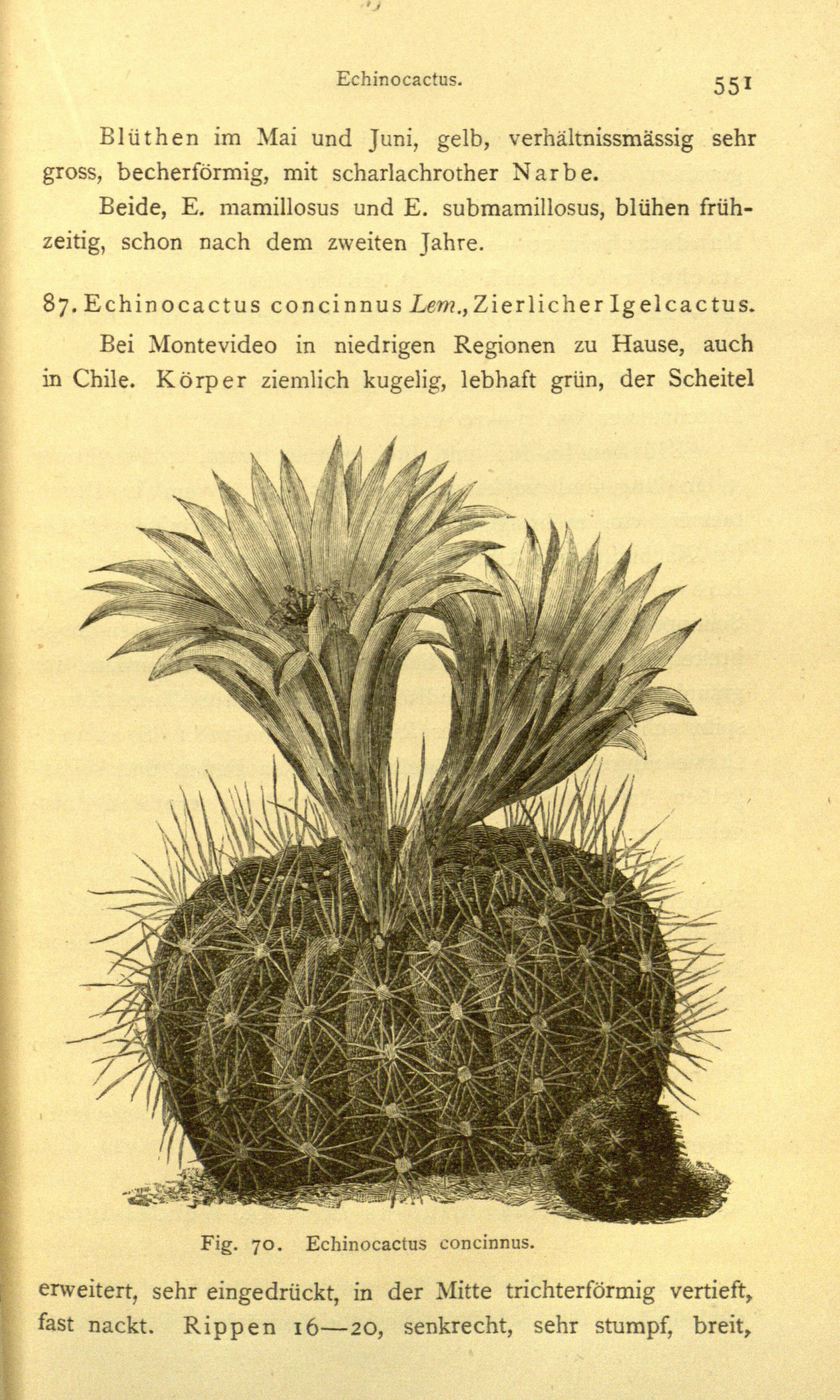 no full size  illustration available (3a)