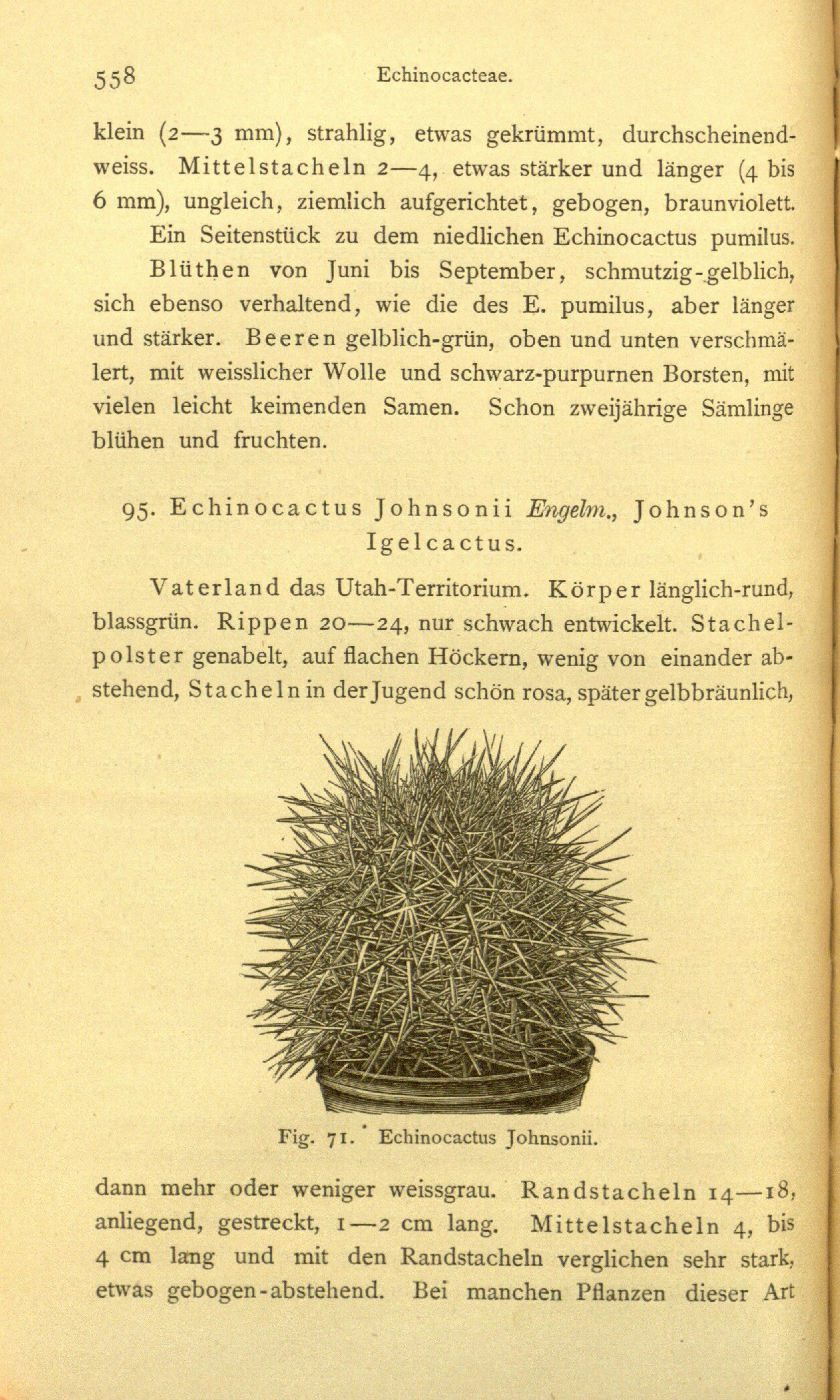 no full size  illustration available (3a)