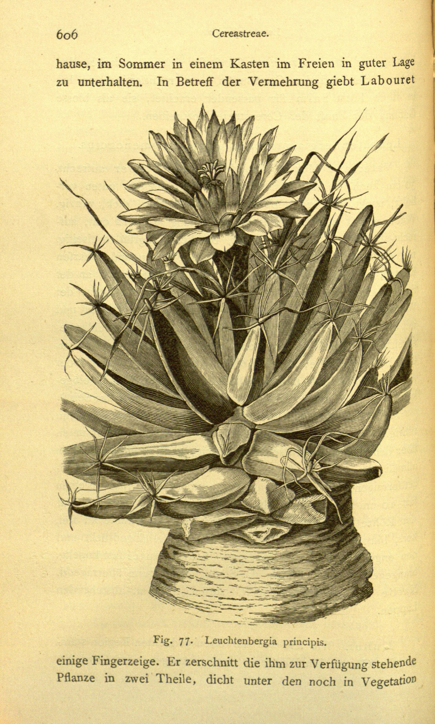 no full size  illustration available (3a)