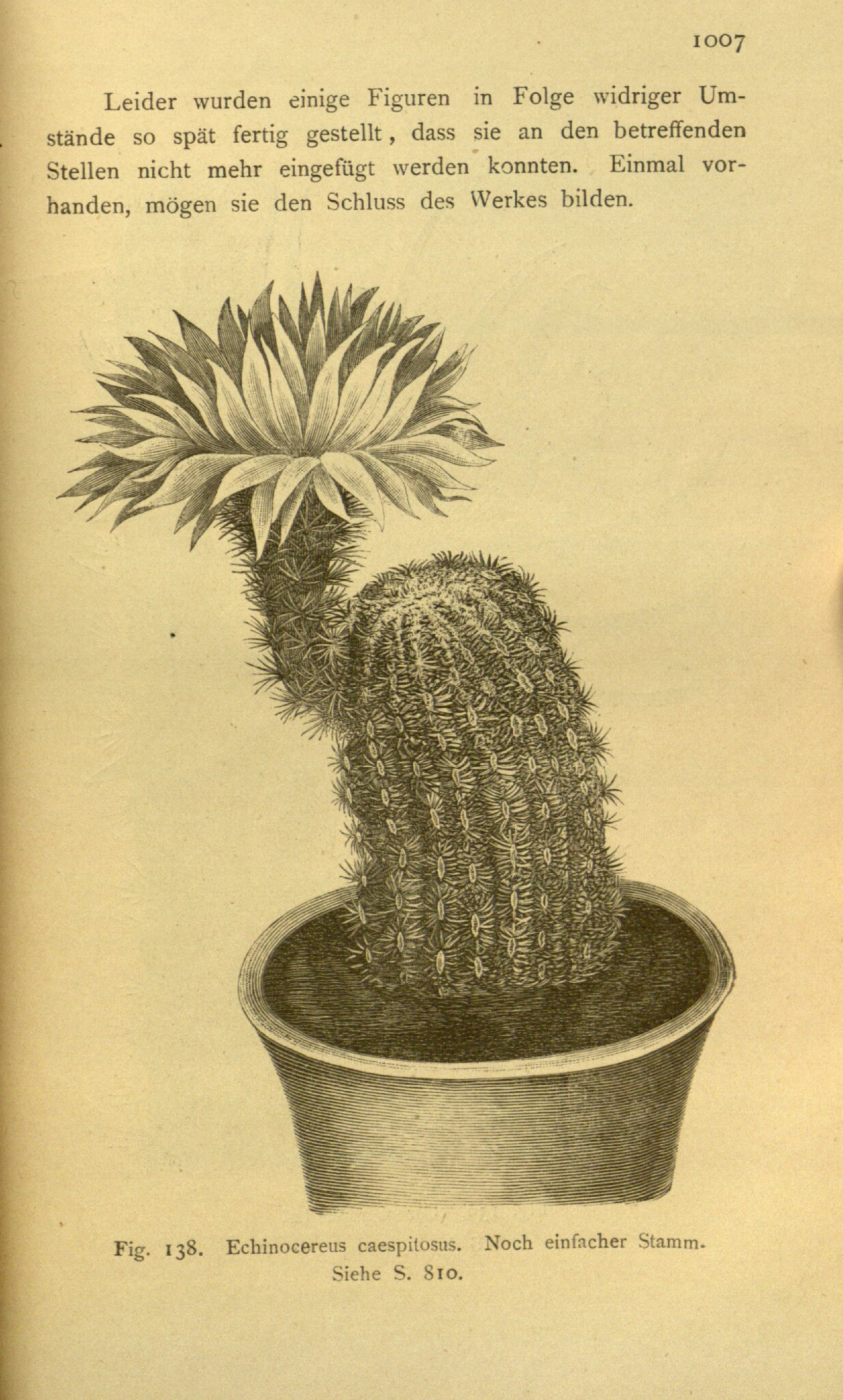 no full size  illustration available (3a)