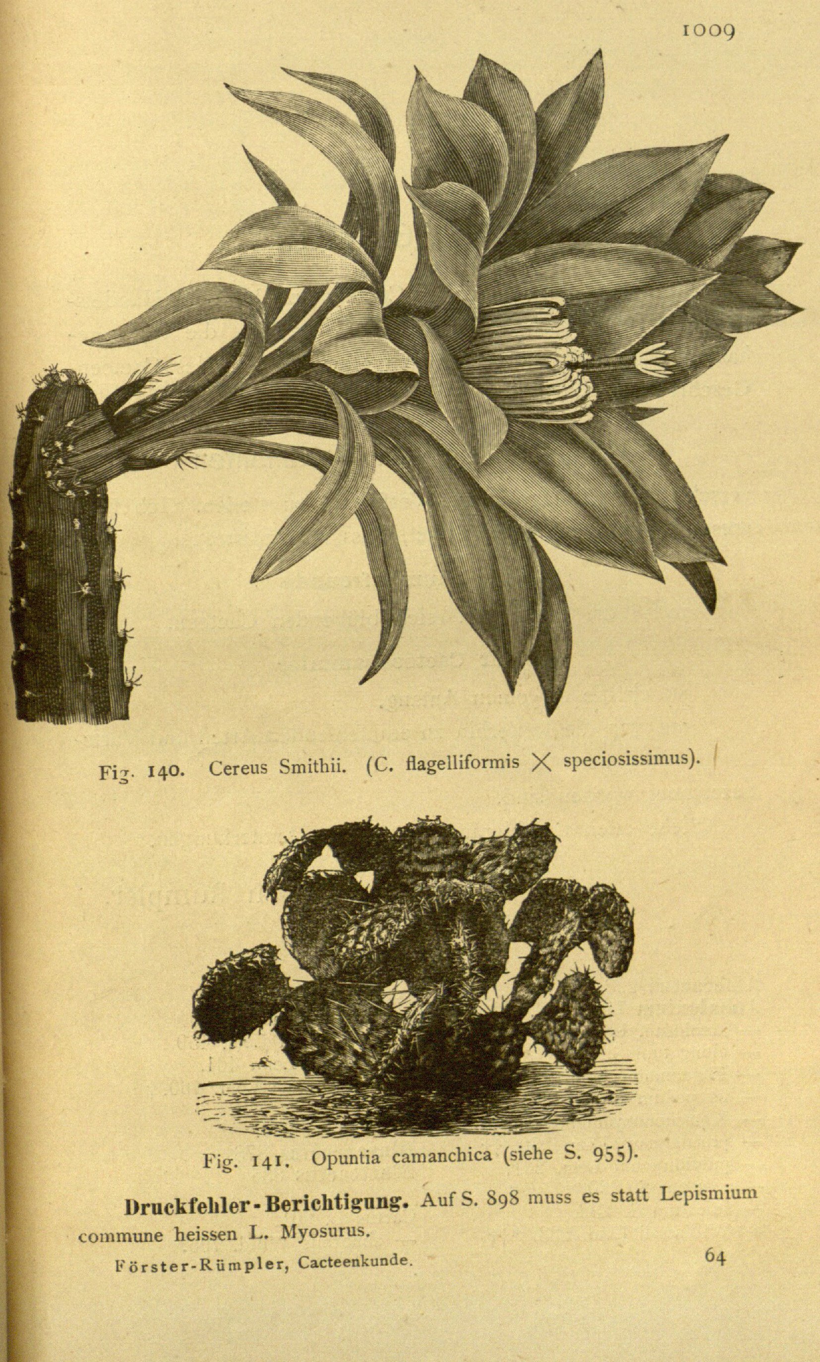 no full size  illustration available (3a)