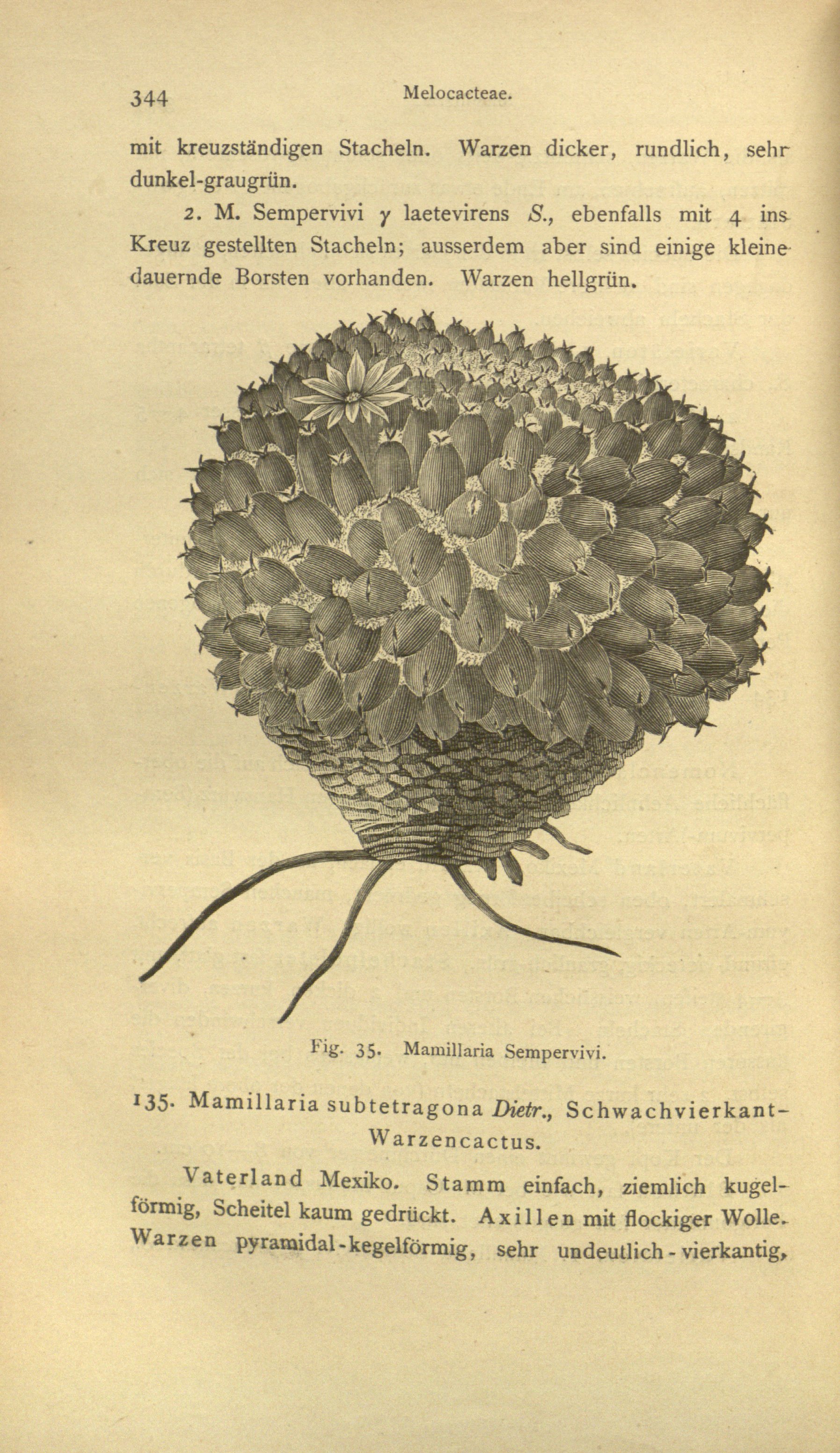 no full size  illustration available (3a)