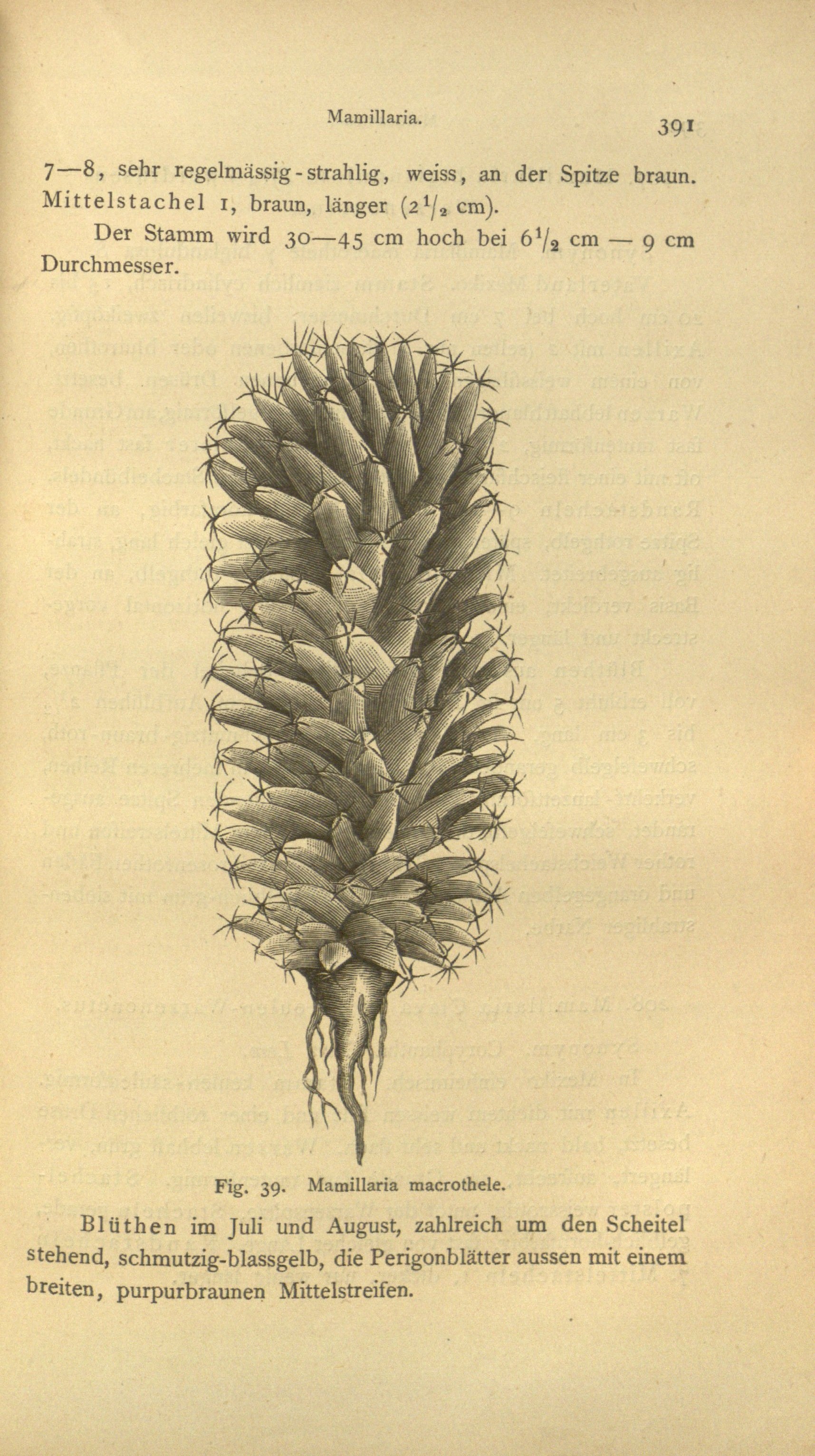 no full size  illustration available (3a)