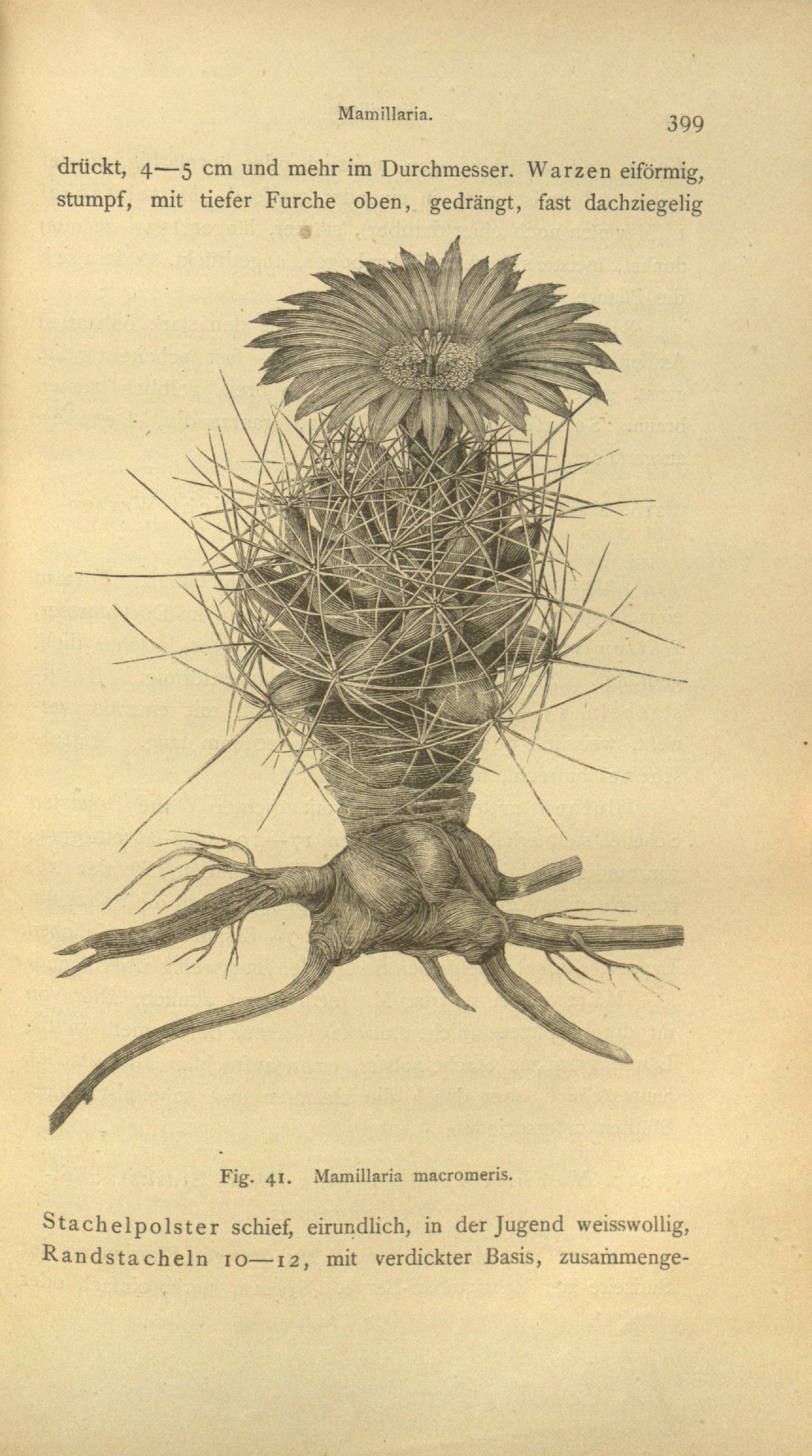 no full size  illustration available (3a)