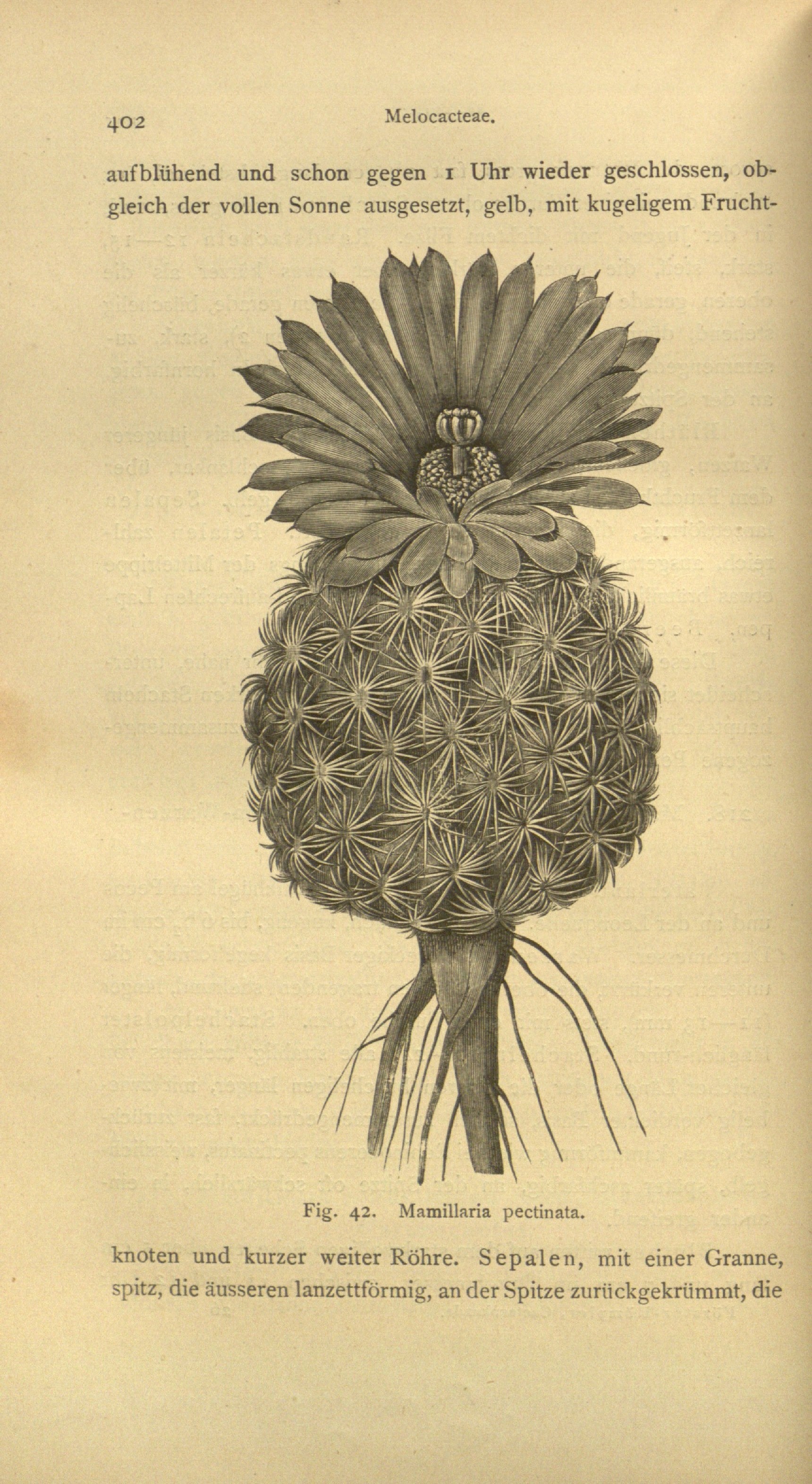 no full size  illustration available (3a)