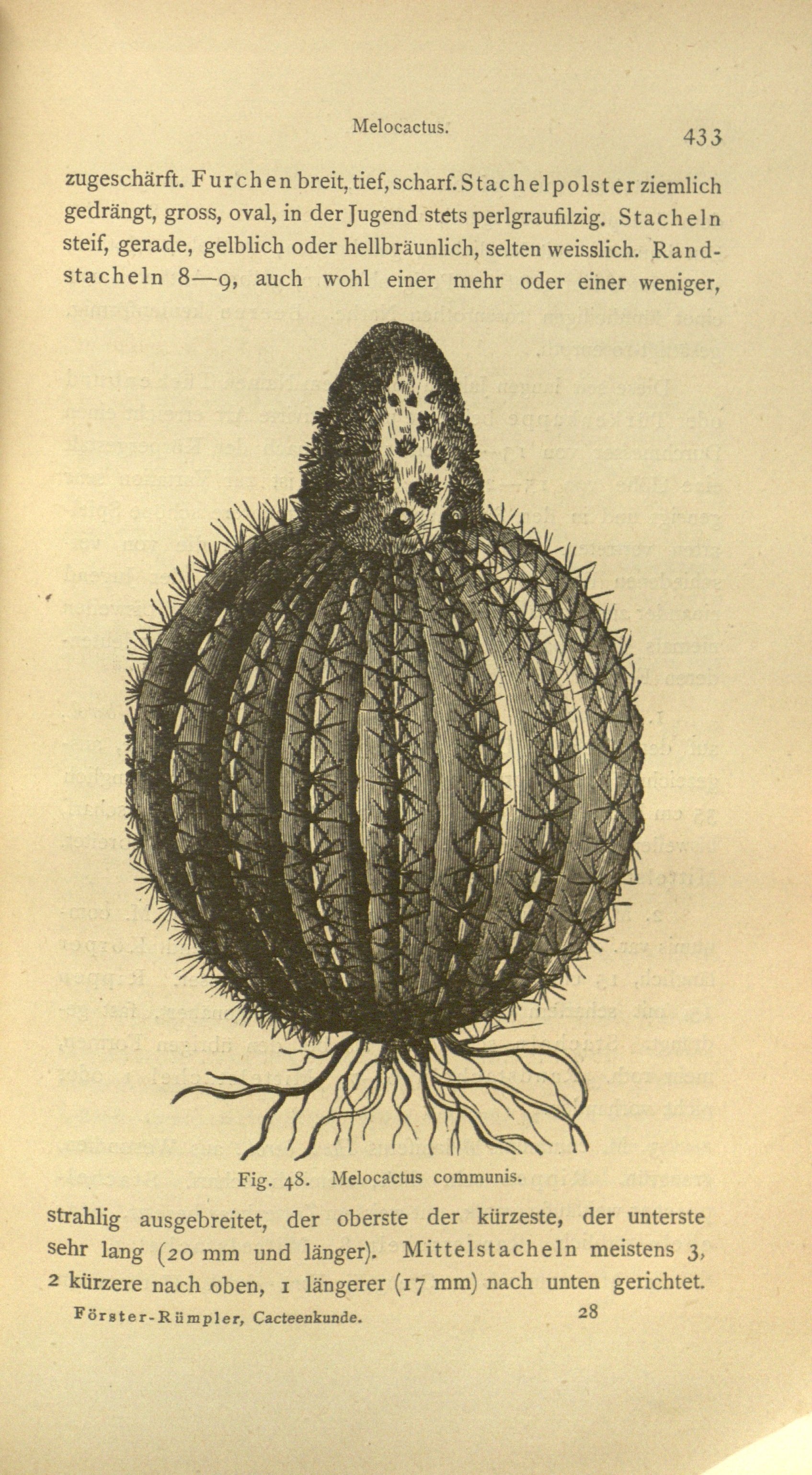 no full size  illustration available (3a)