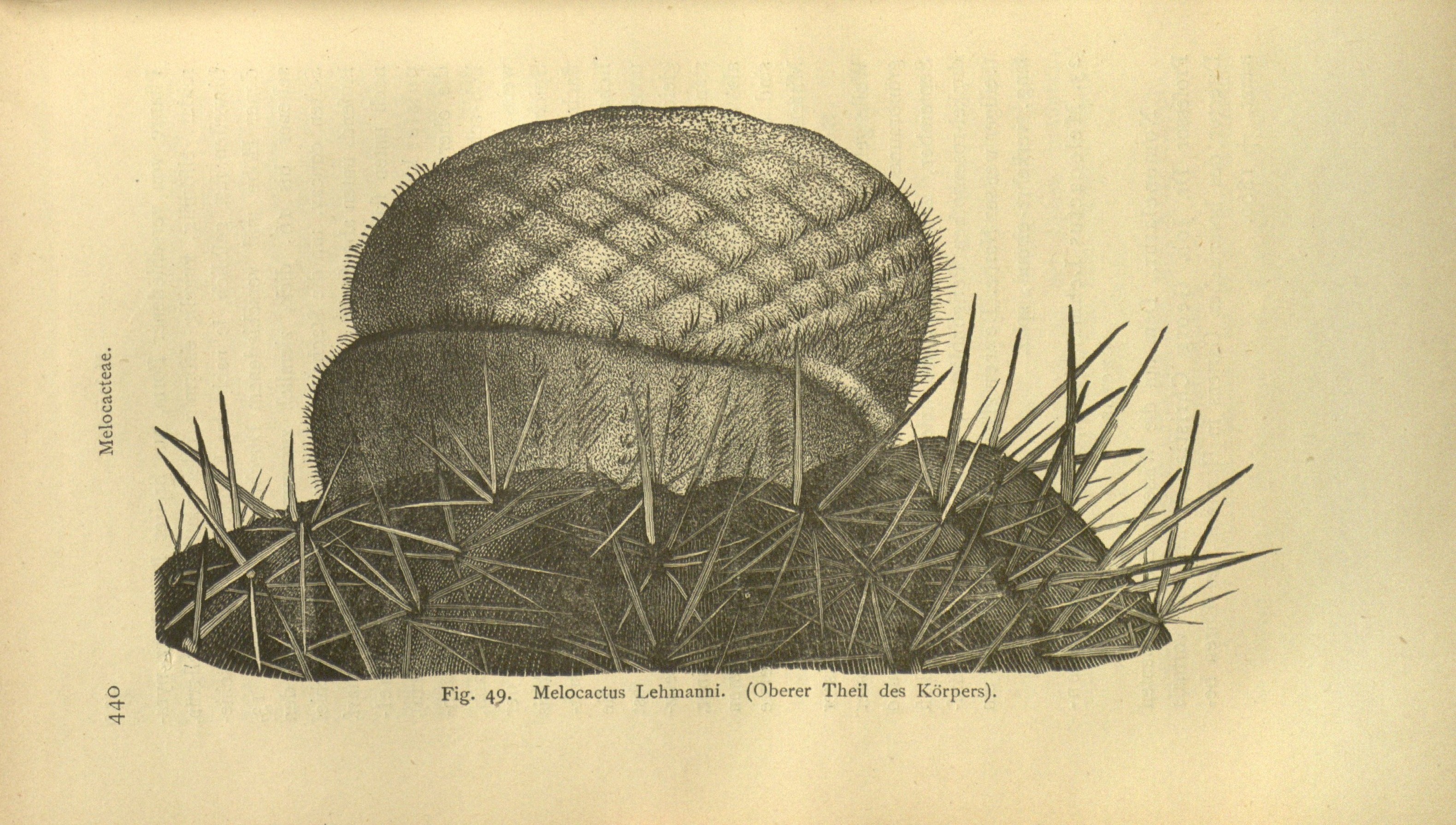 no full size  illustration available (3a)