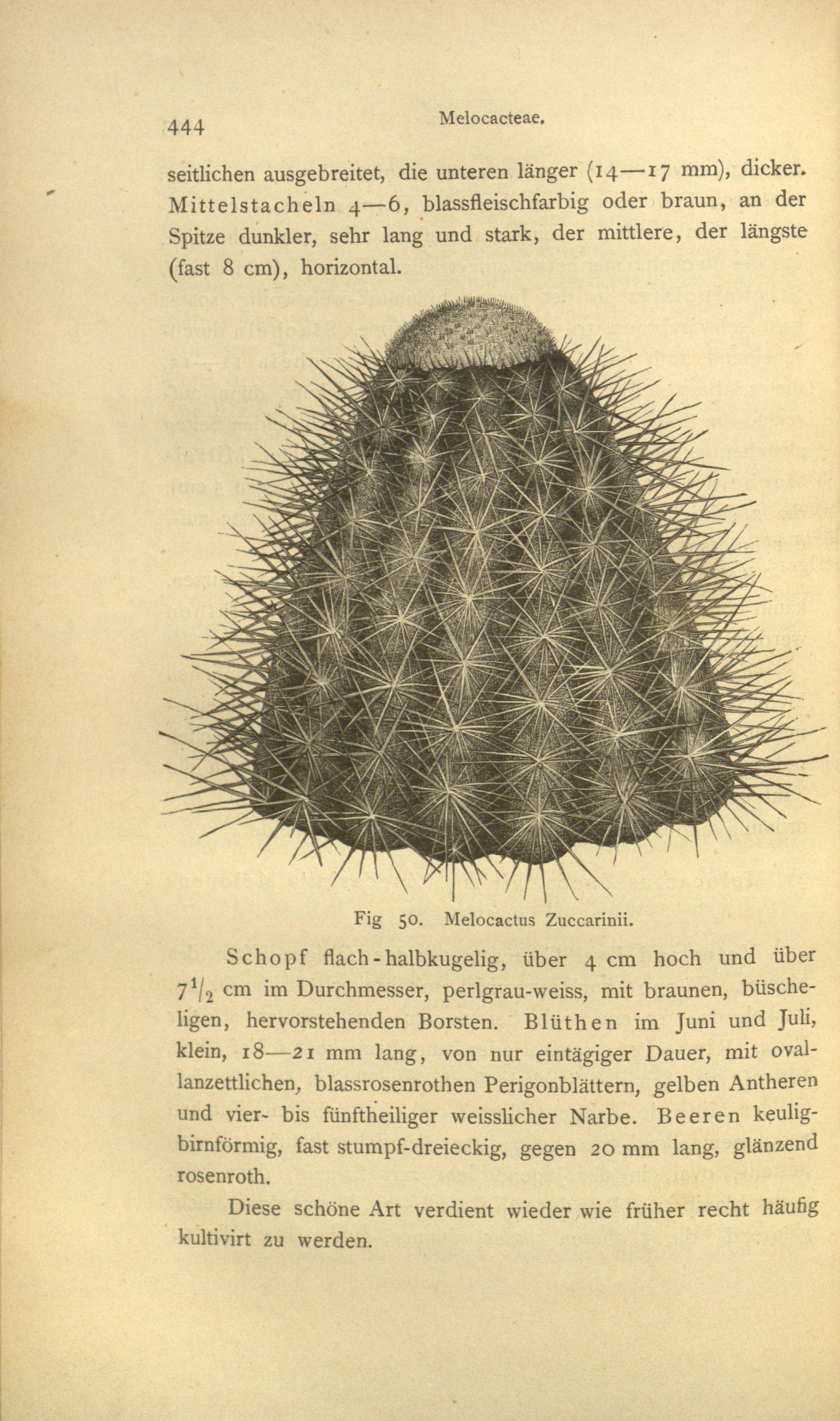 no full size  illustration available (3a)