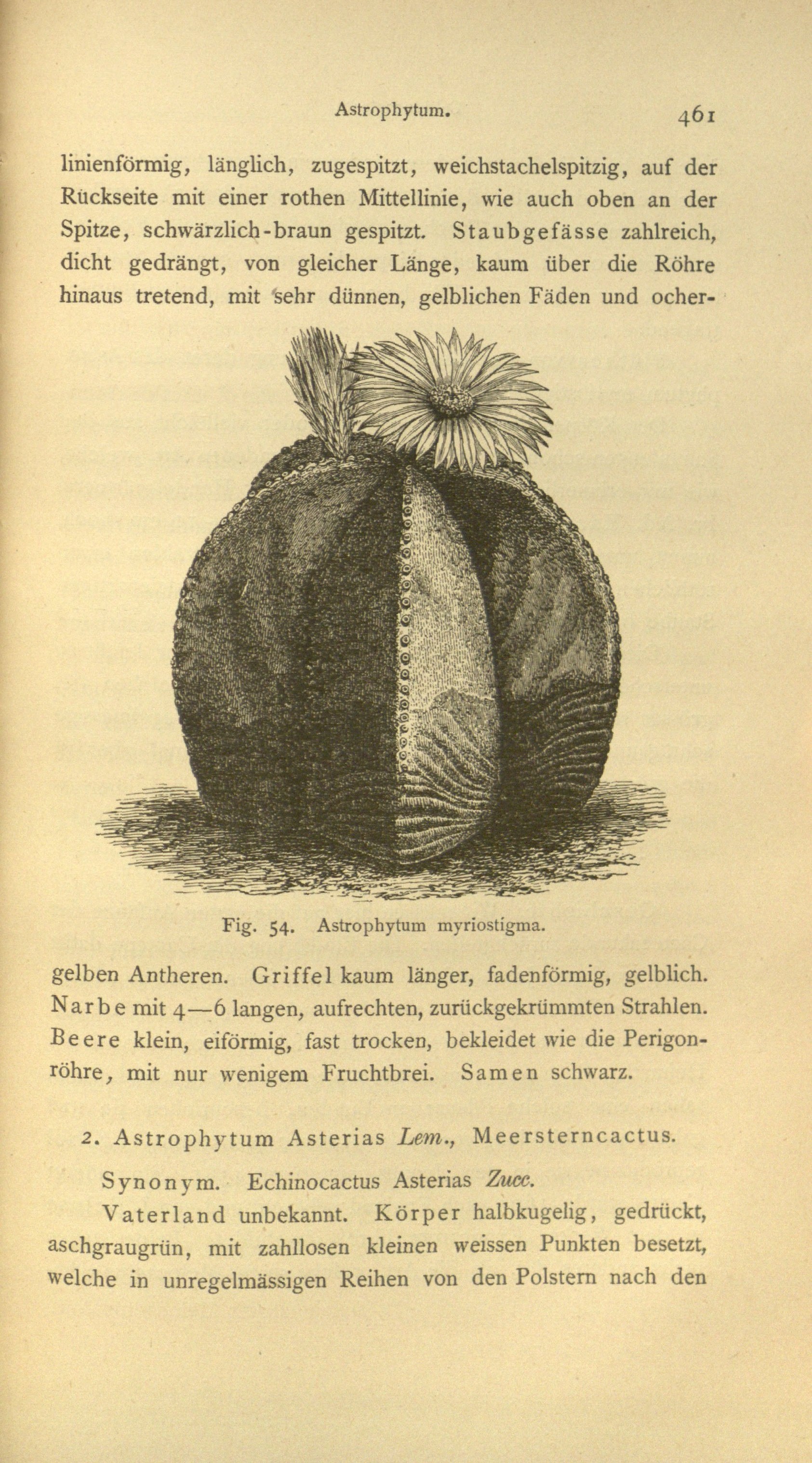 no full size  illustration available (3a)