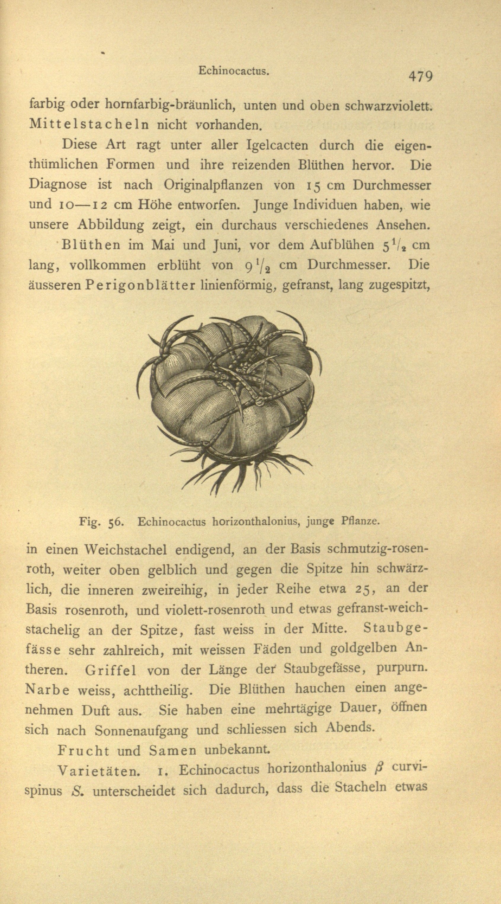 no full size  illustration available (3a)