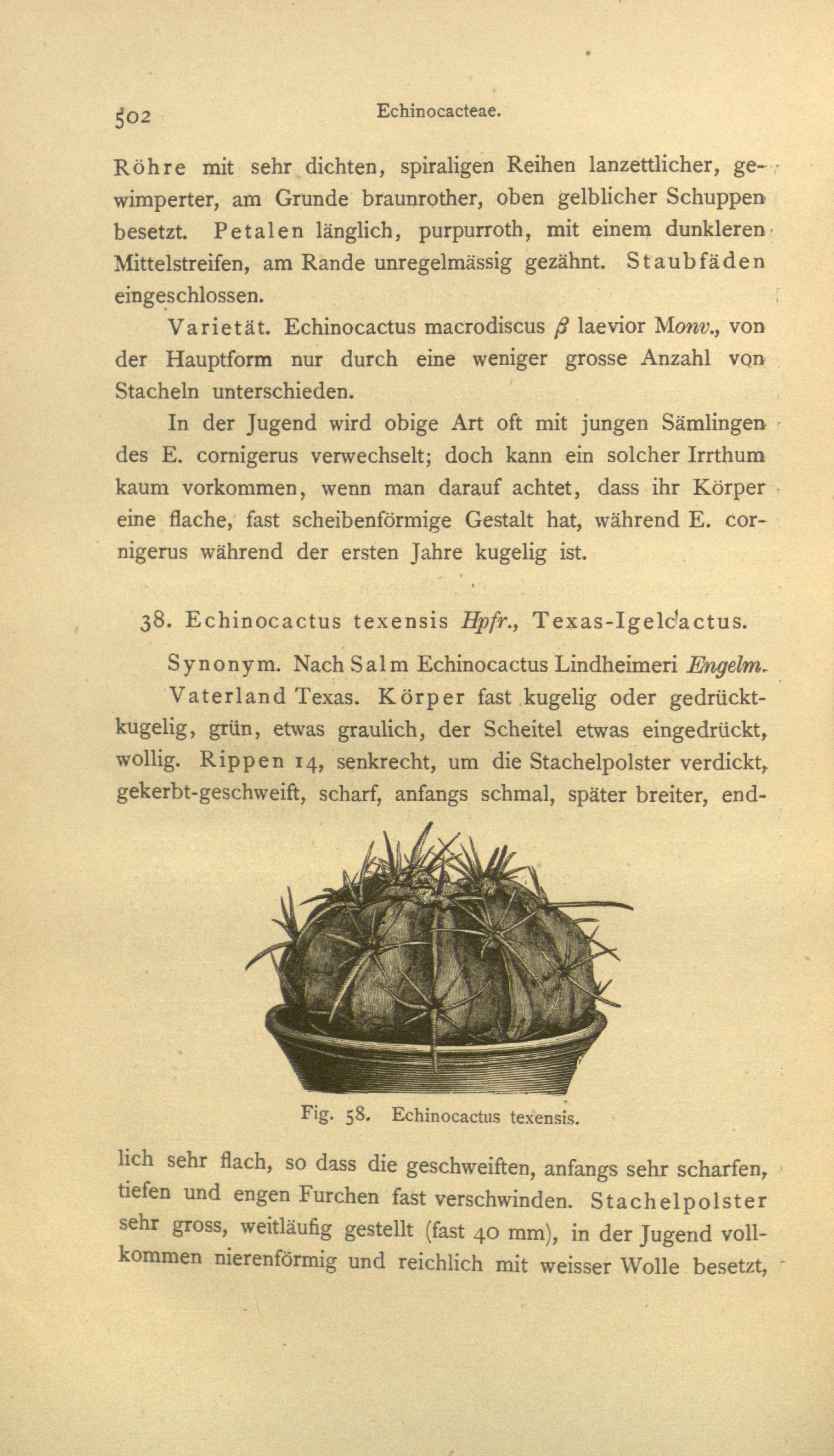 no full size  illustration available (3a)