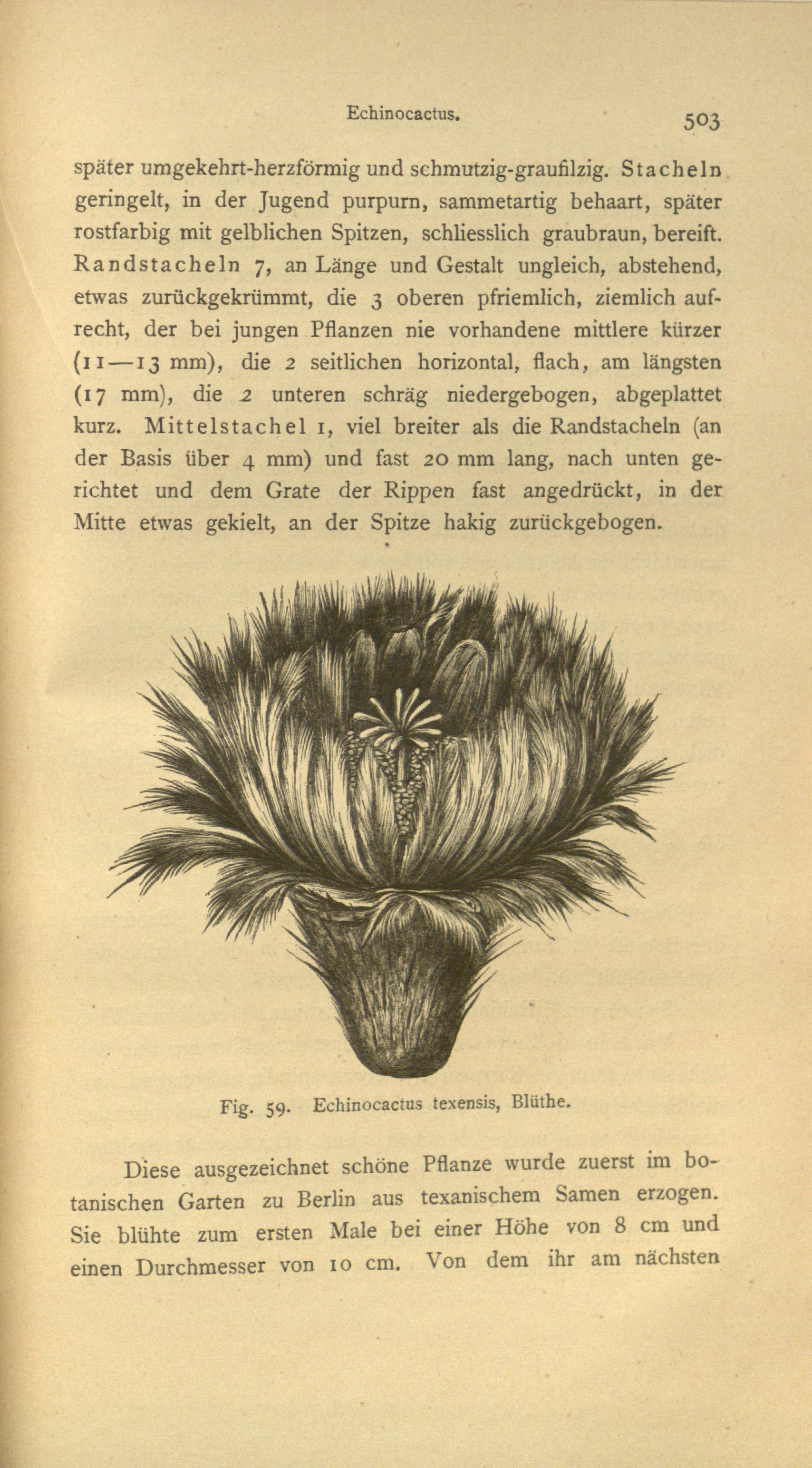 no full size  illustration available (3a)