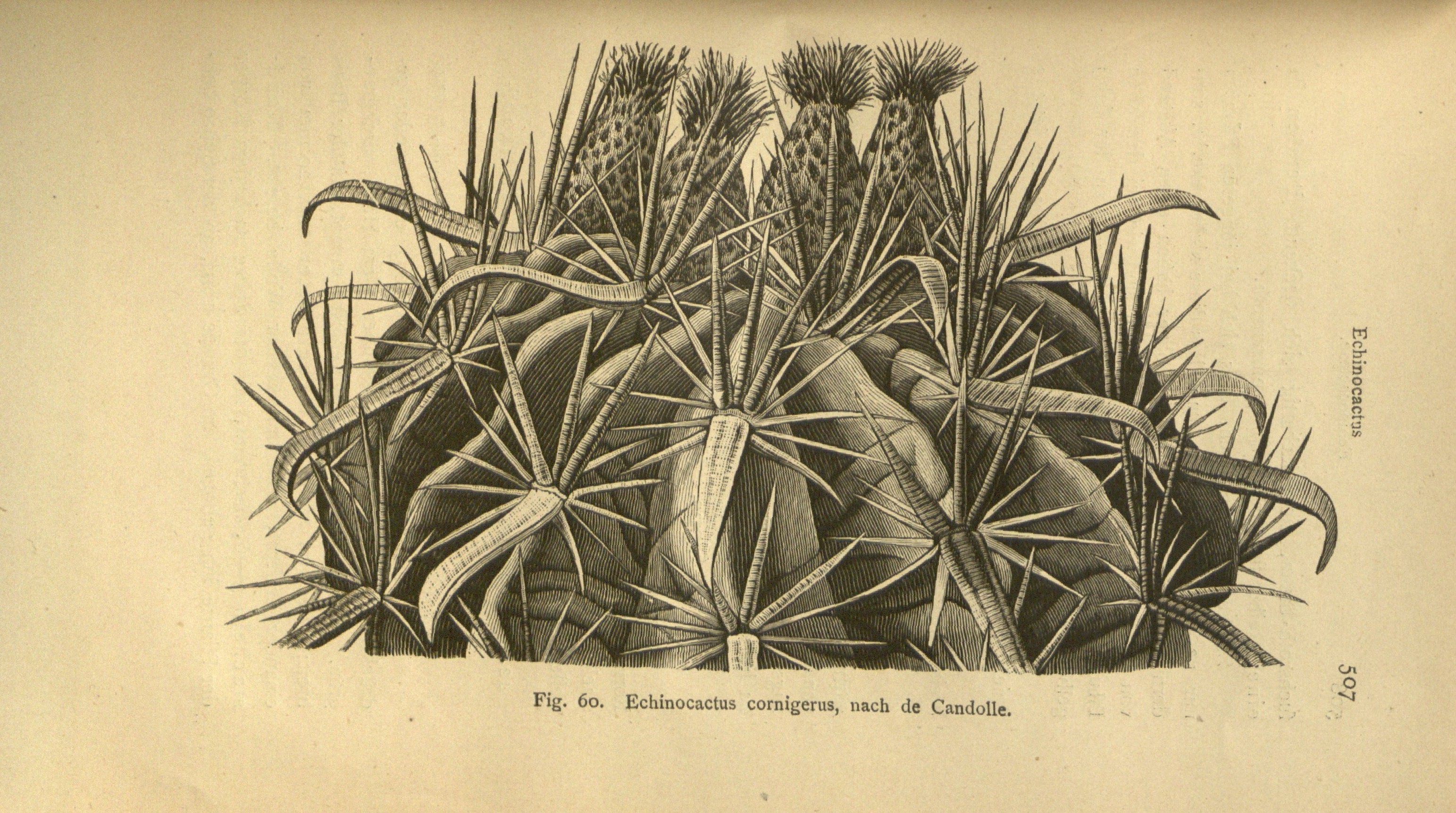 no full size  illustration available (3a)