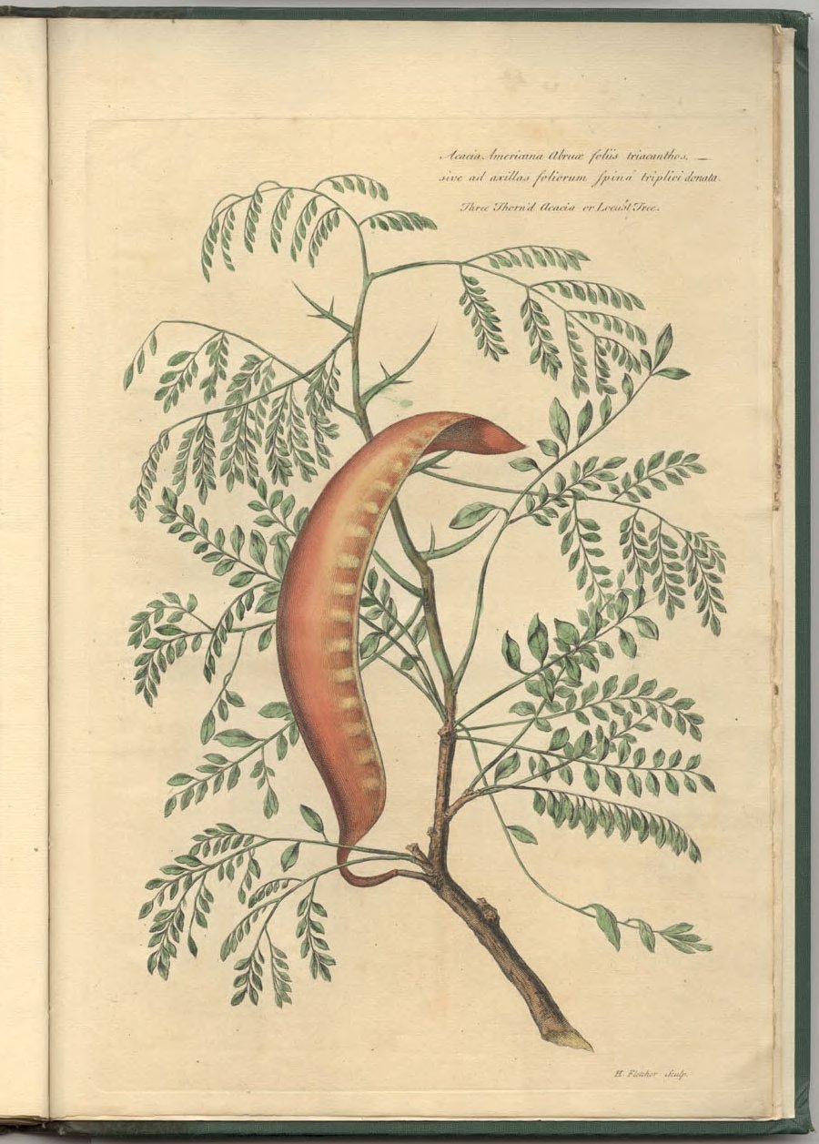 no full size  illustration available (3a)