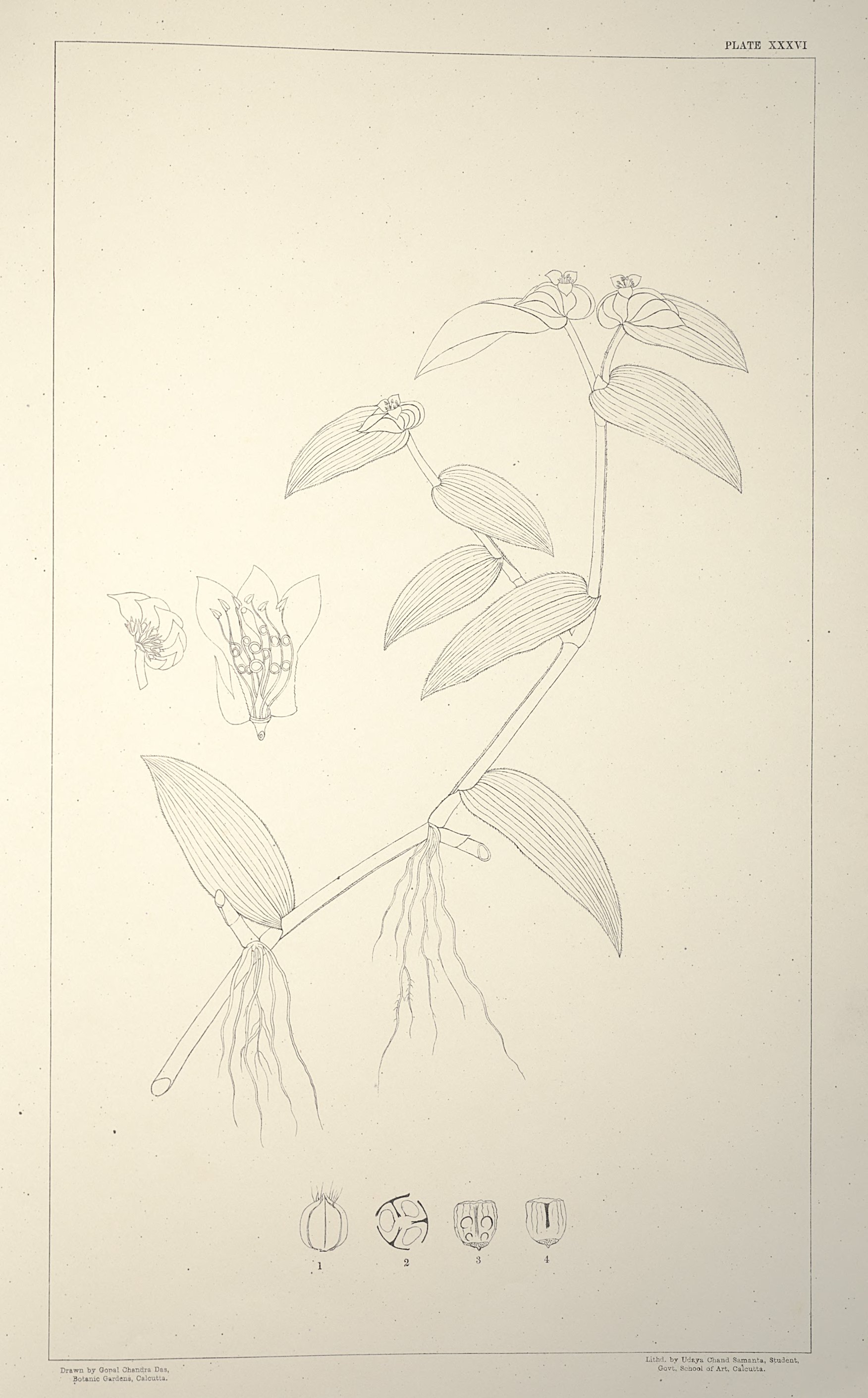 no full size  illustration available (3a)