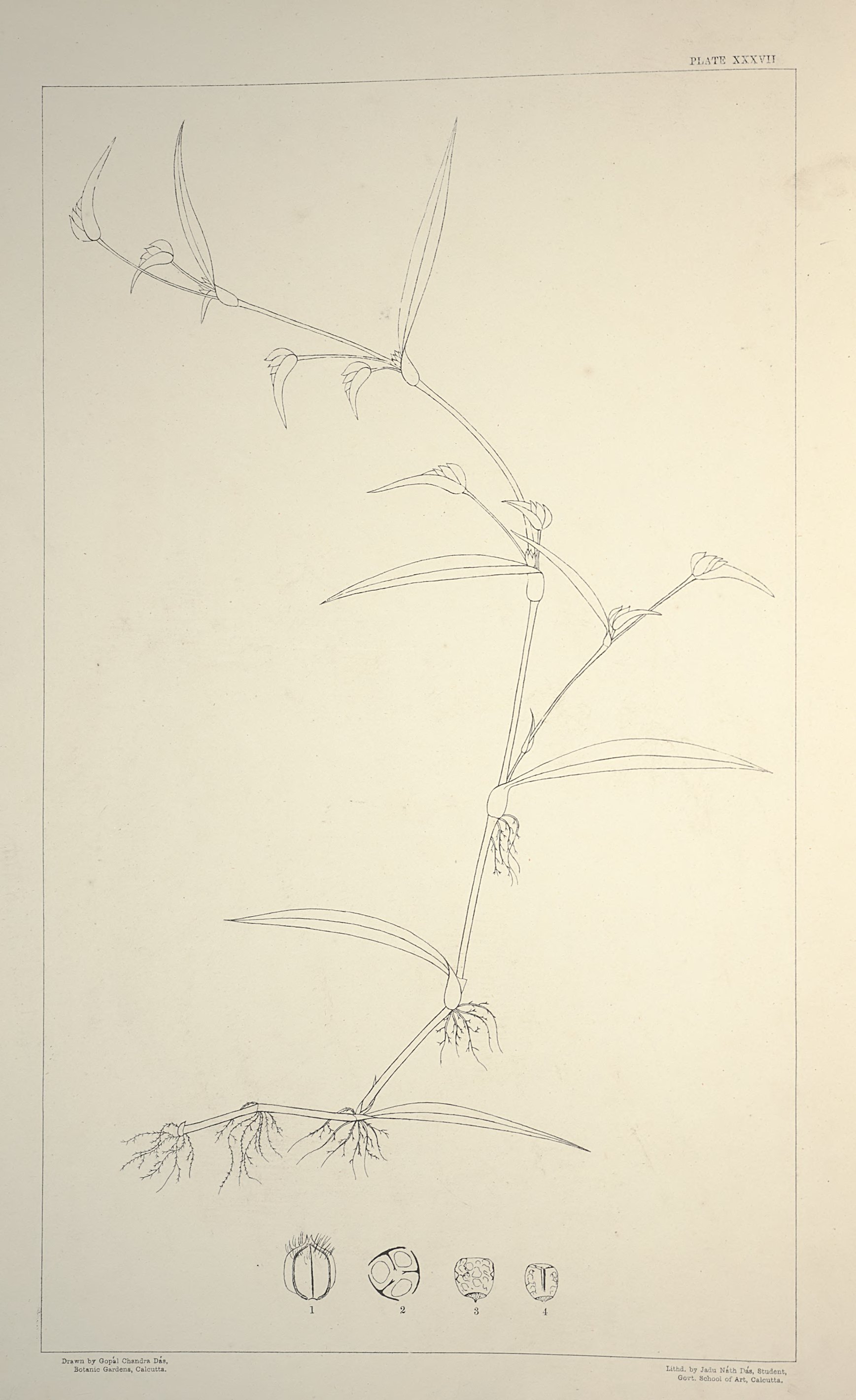 no full size  illustration available (3a)